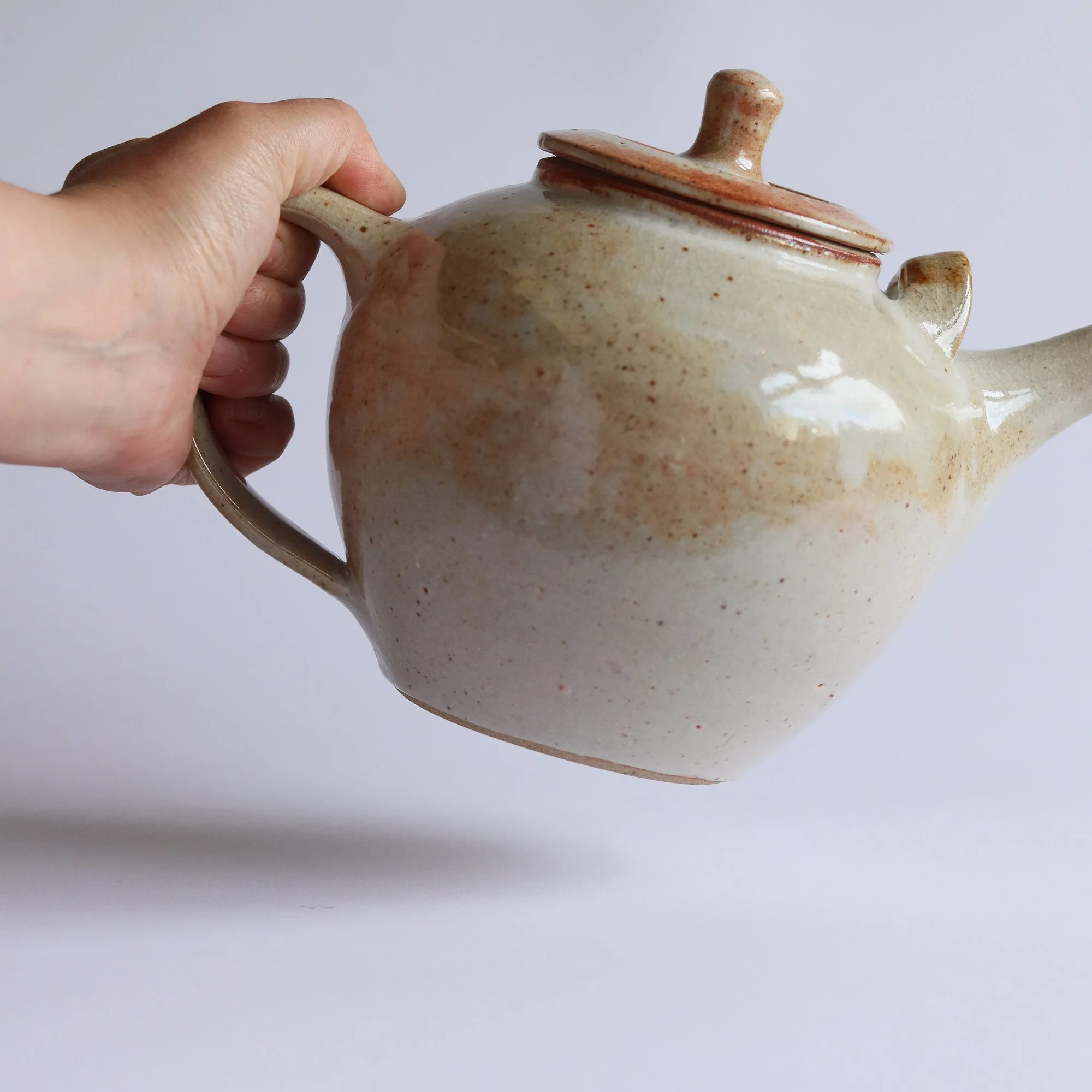 Large Teapot in Shino-2.jpg