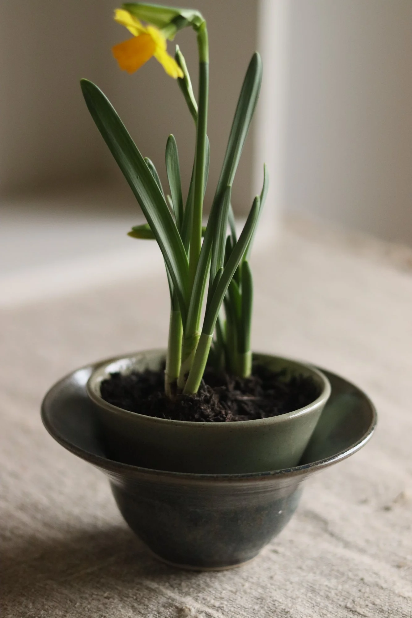 Large Flared Bowl-2.jpg