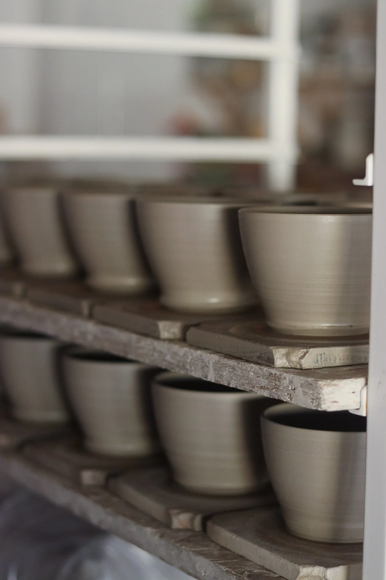 Freshly thrown curved mugs