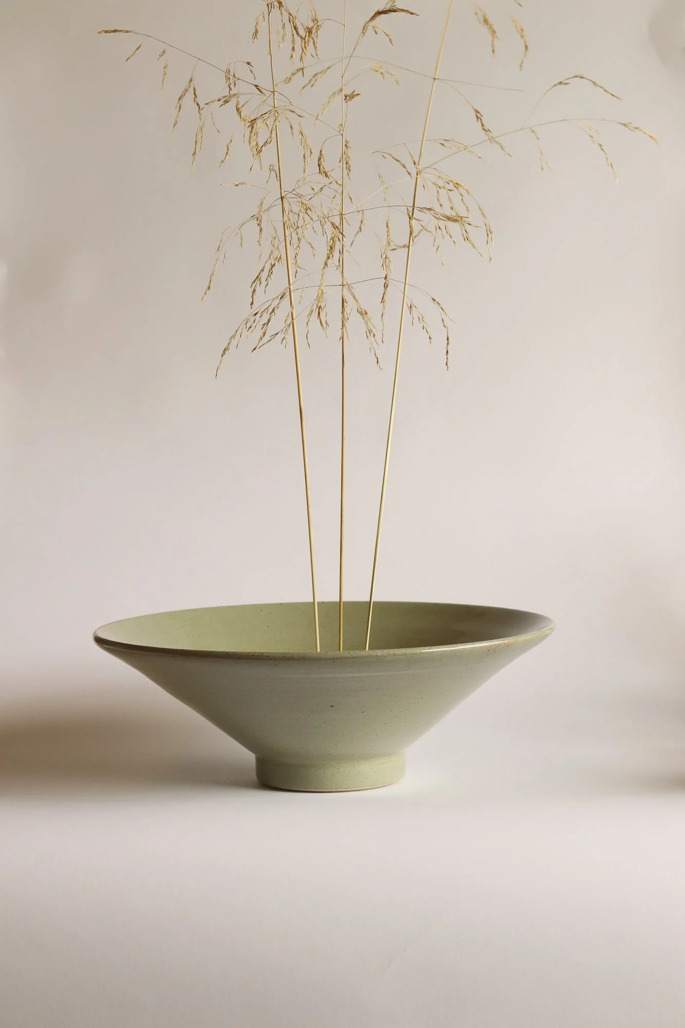 Autumnus in olive.jpg