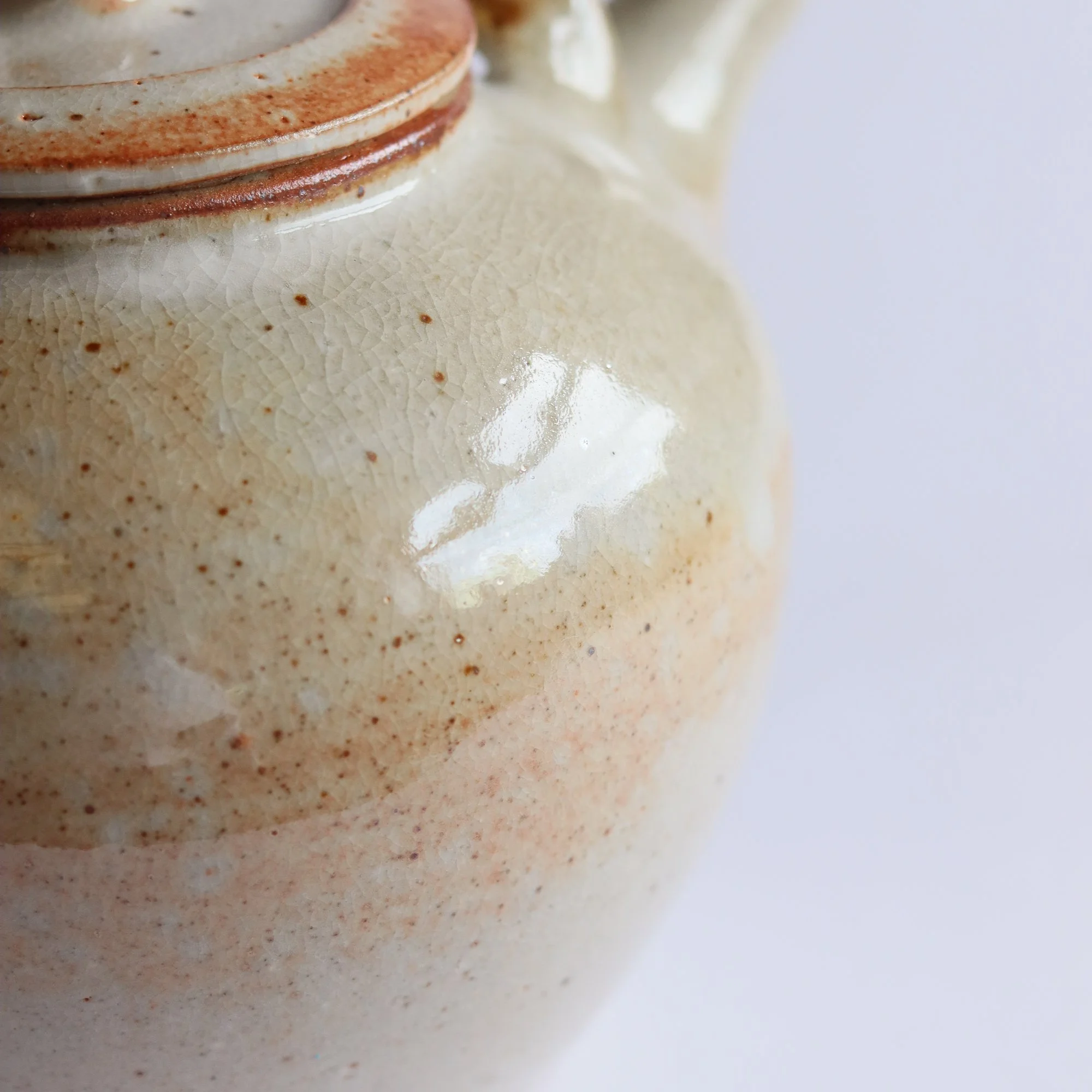 Large Teapot in Shino-8.jpg
