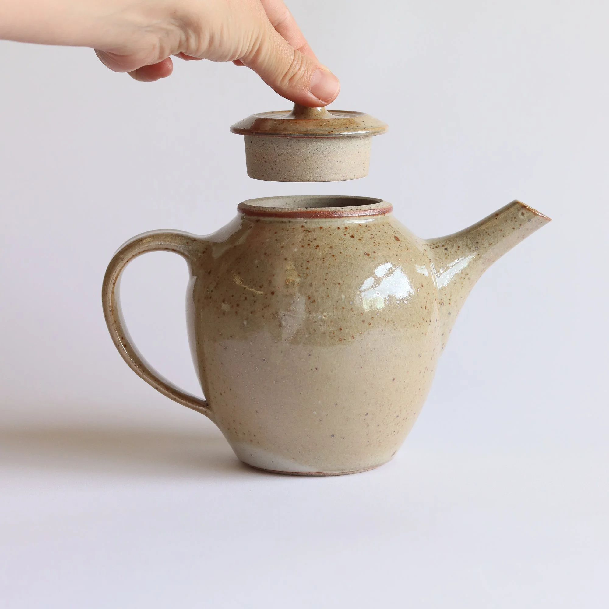 Teapot in Shino_small-5.jpg