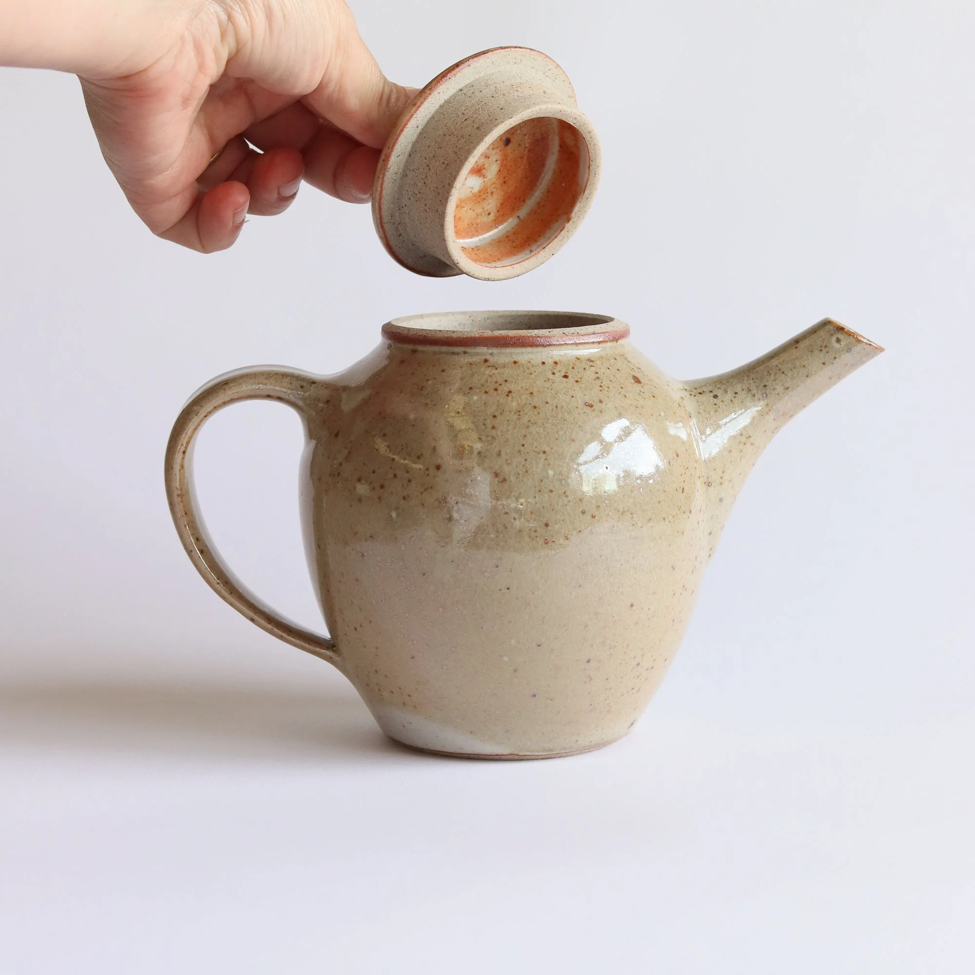 Teapot in Shino_small-3.jpg