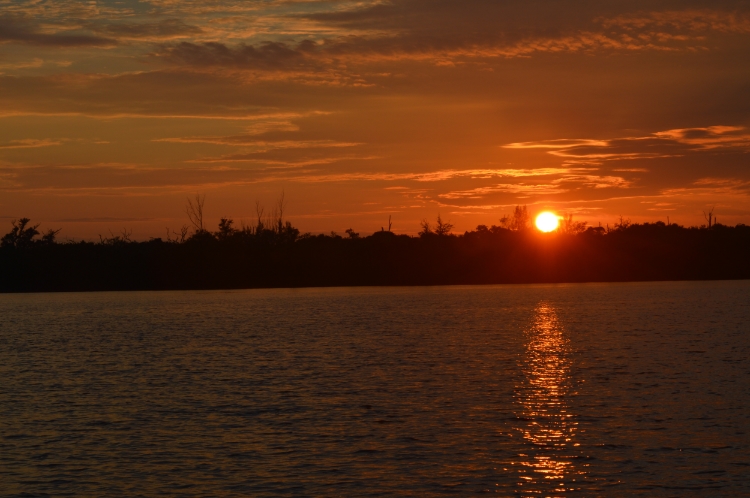 cayo costa state park sun rise by diane eggert
