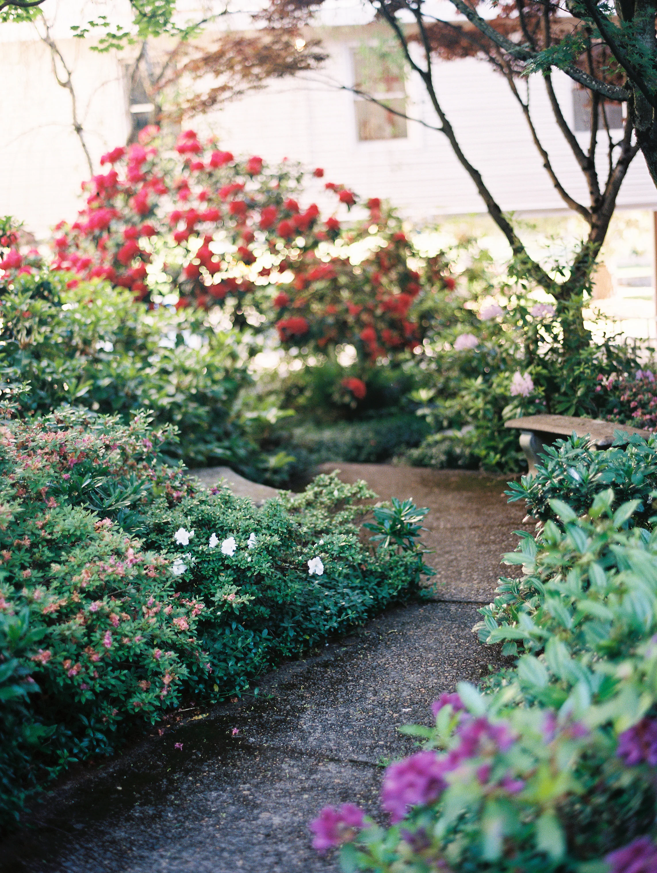 Oregon Wedding Photographer
