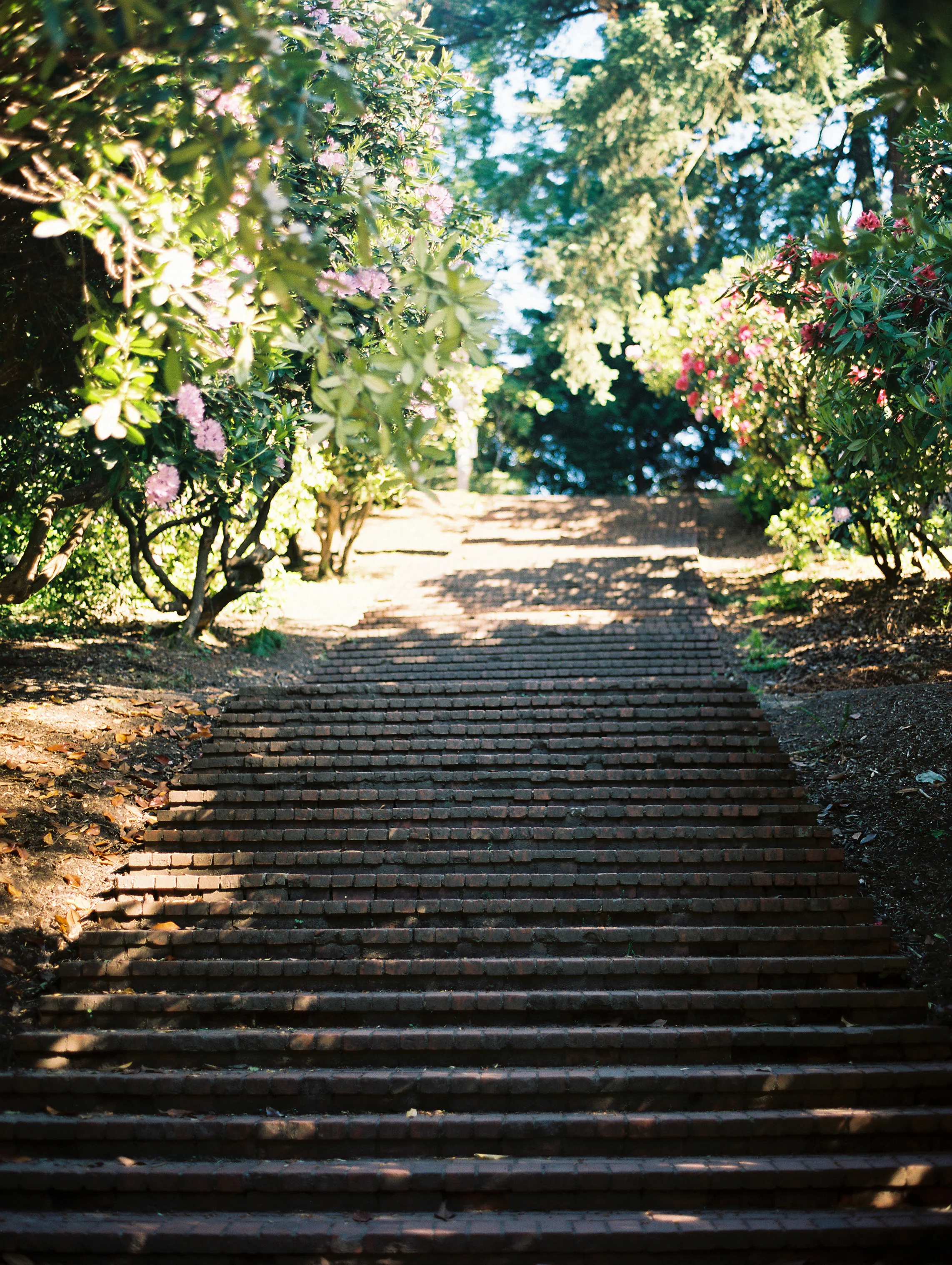 Portland Oregon Wedding Photographer