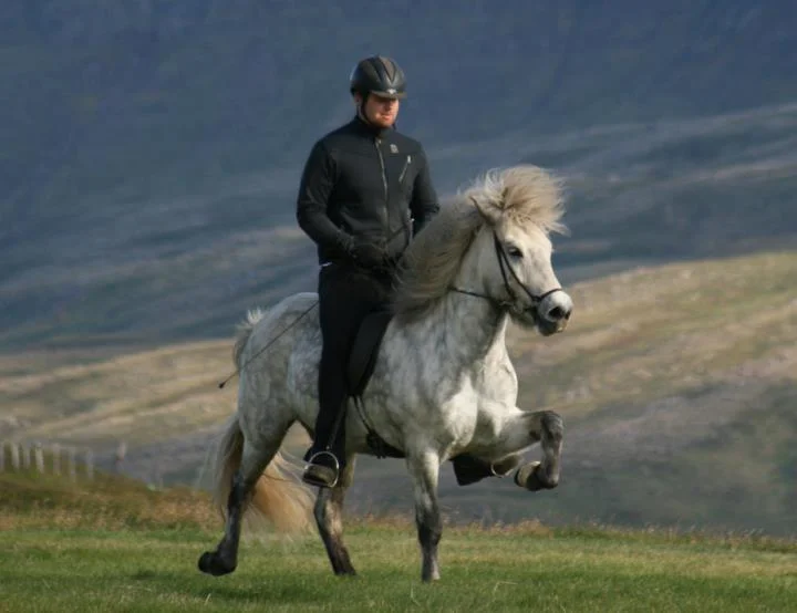 Guðmundur Skúlason (Mummi), Trainer