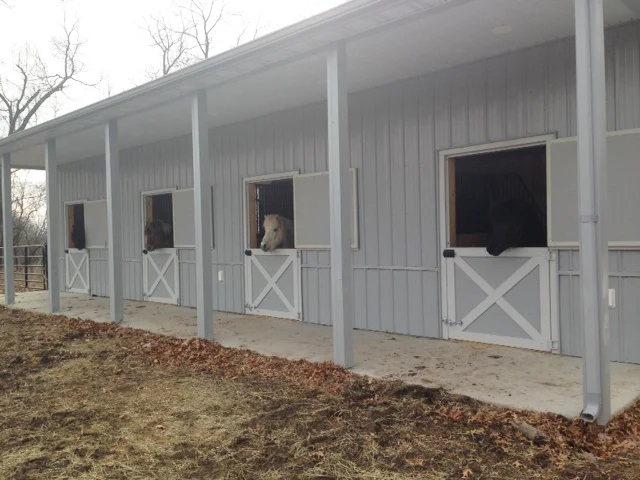 Harmony Icelandics stable
