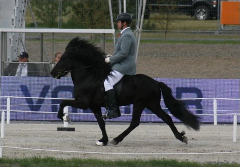 Mummi on our stallion Gosi frá Lambastöðum