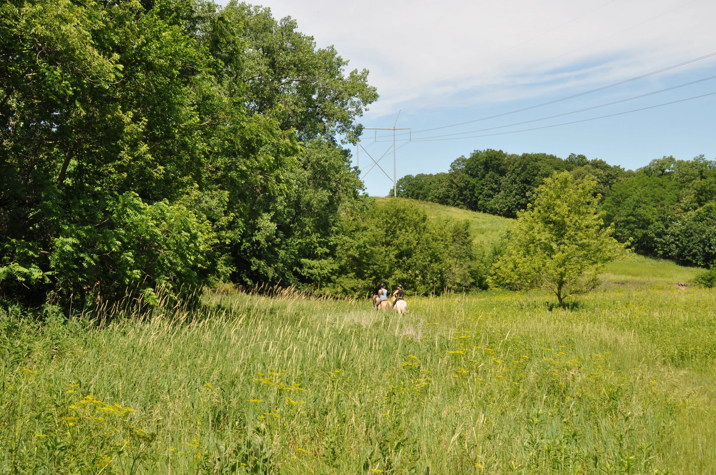 The prairies are gorgeous! 