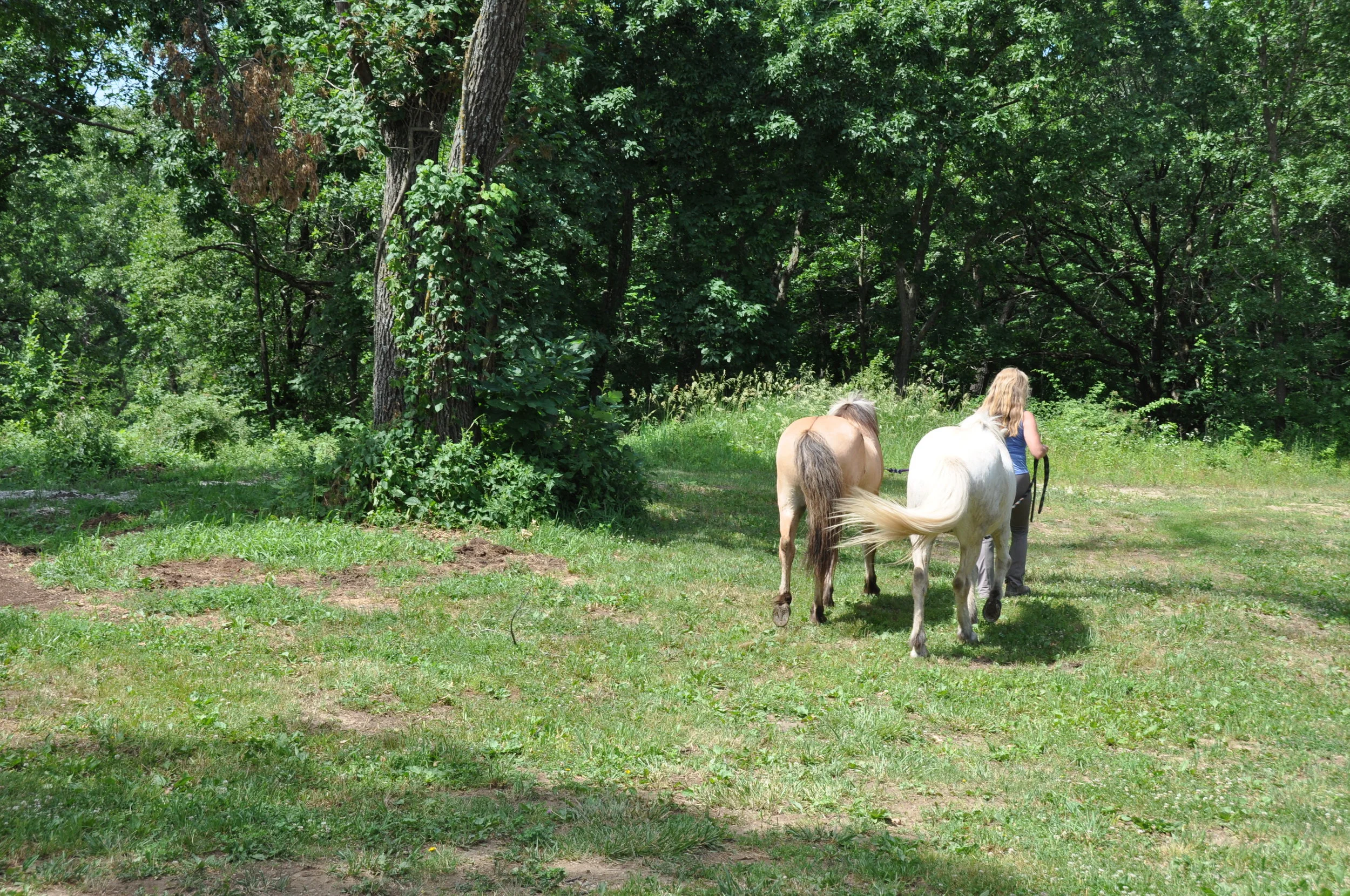 Someday, hopefully soon.