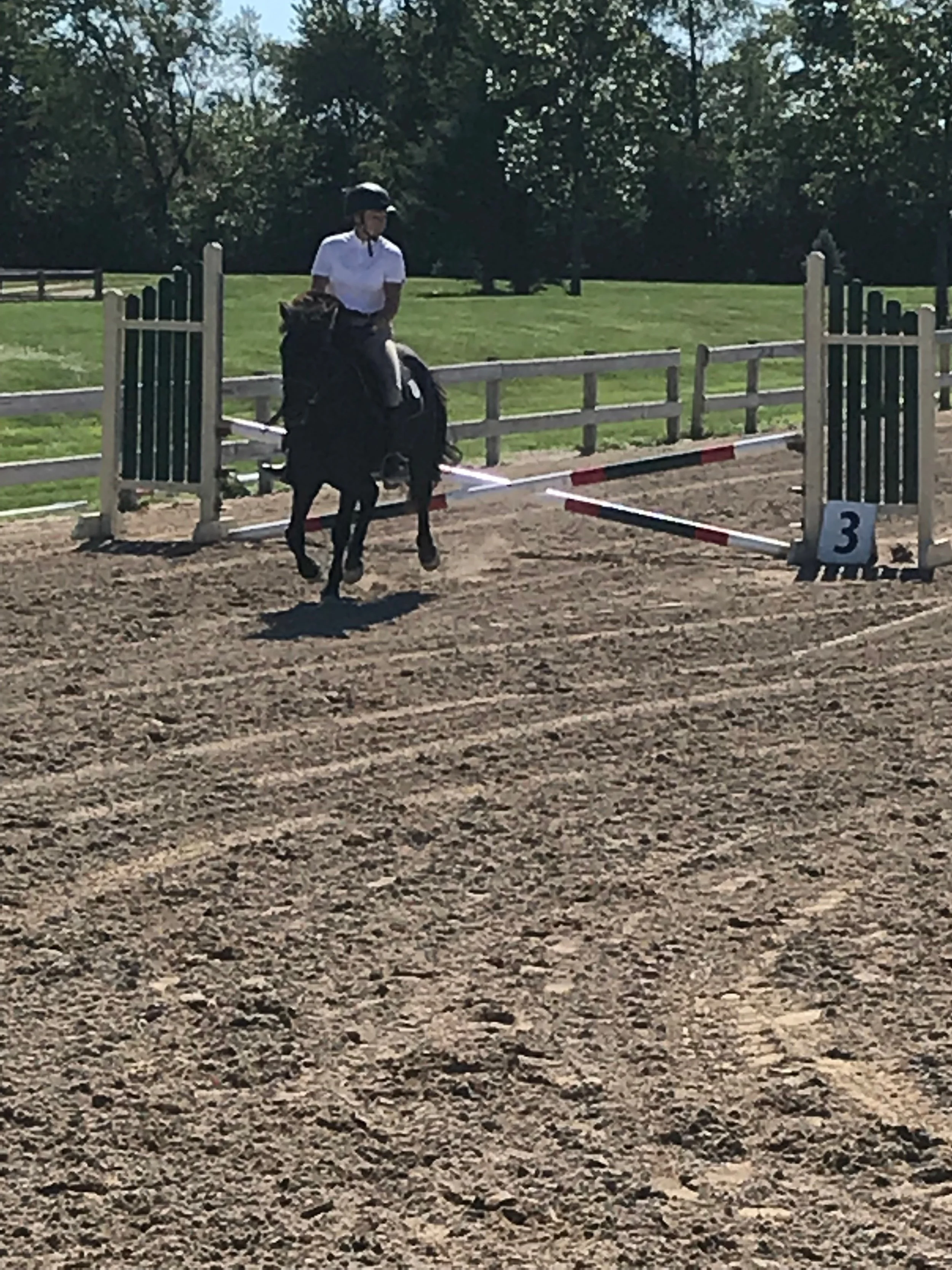 The Versatile Icelandic