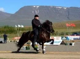 Riding Clinic with Eyjolfur Isolfsson