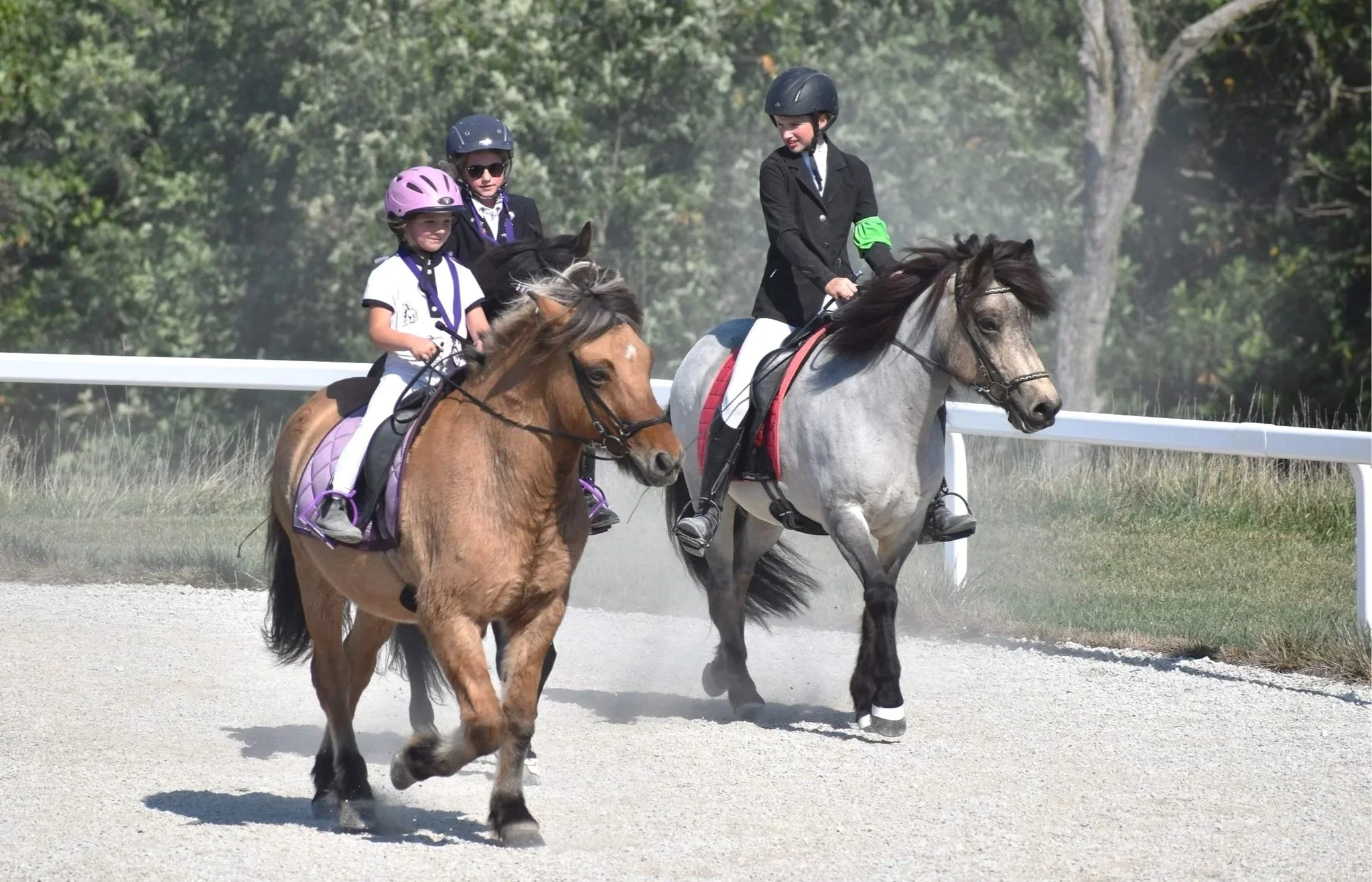 Fall Group Lessons At Harmony