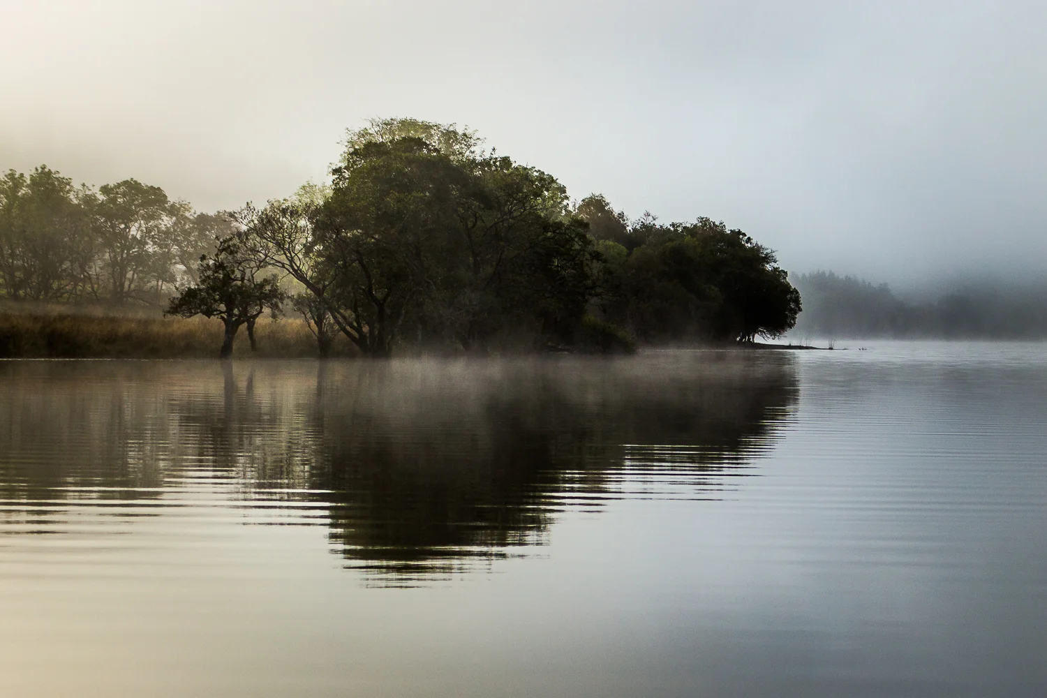 An Island Waits . . . An Island Waits