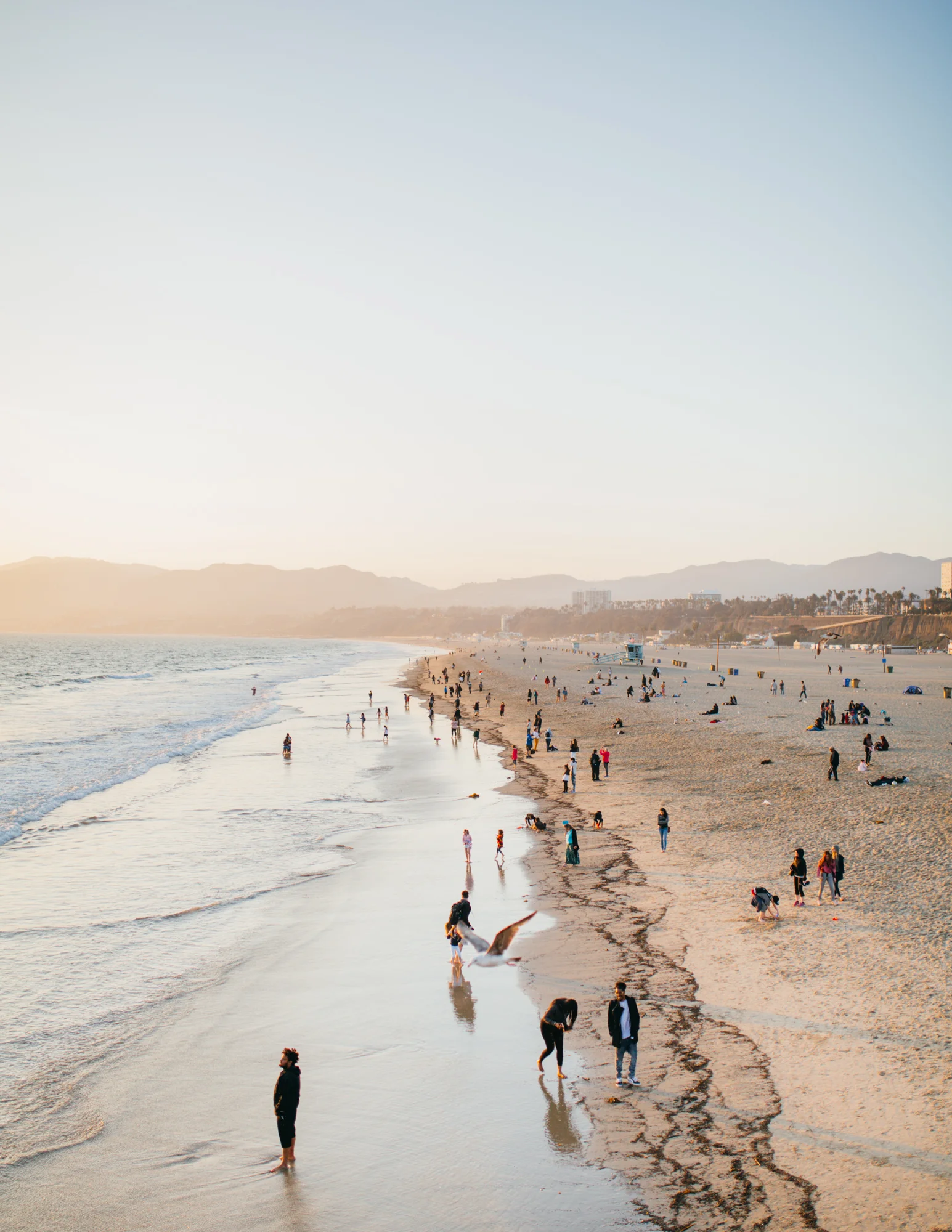 shot (2 of 1).jpg