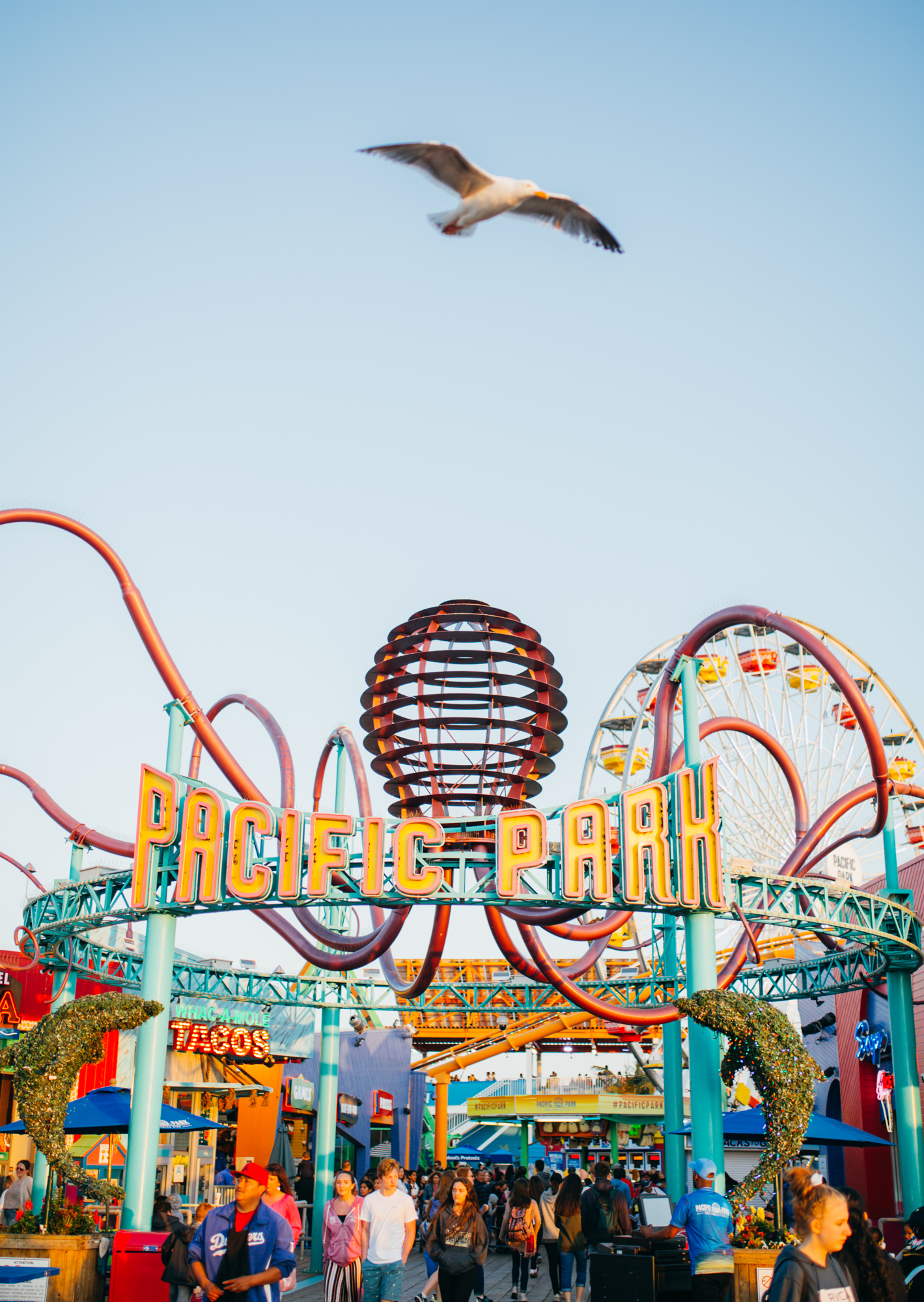 shot (11 of 1).jpg
