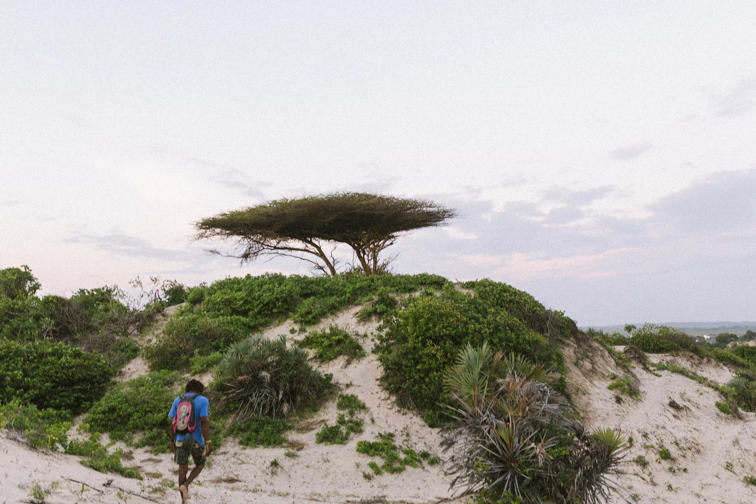 lamu_kenya_ashlee_oneil_photo_beach_hill.jpg