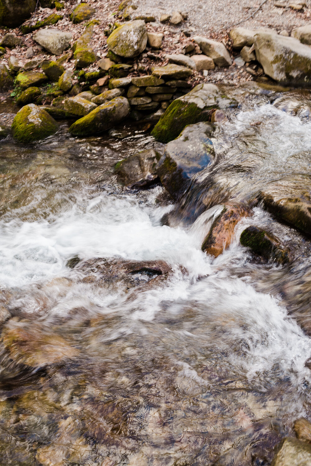 River in Cosby, Tennessee