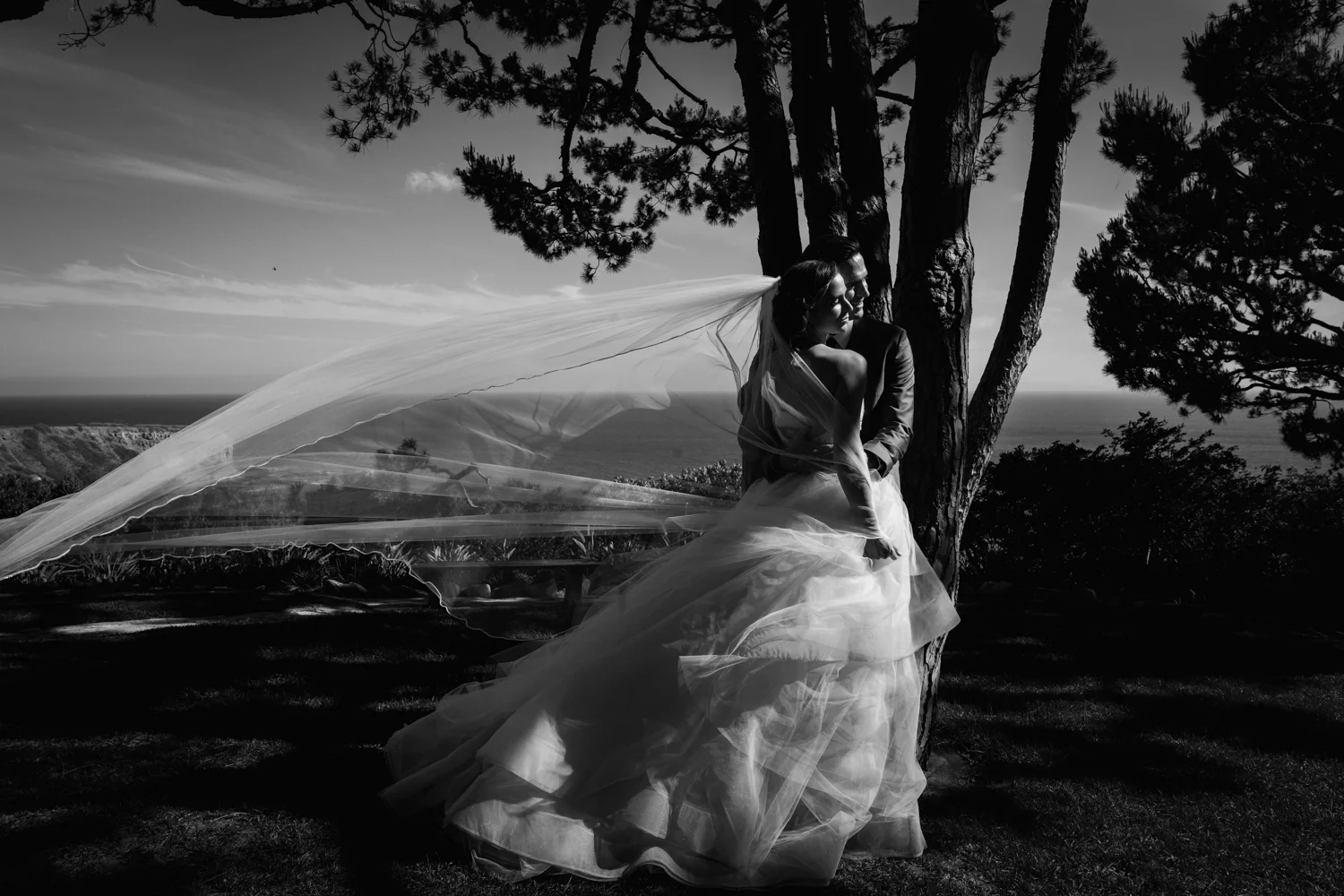 R10 Social House in Redondo Beach Wedding Photo
