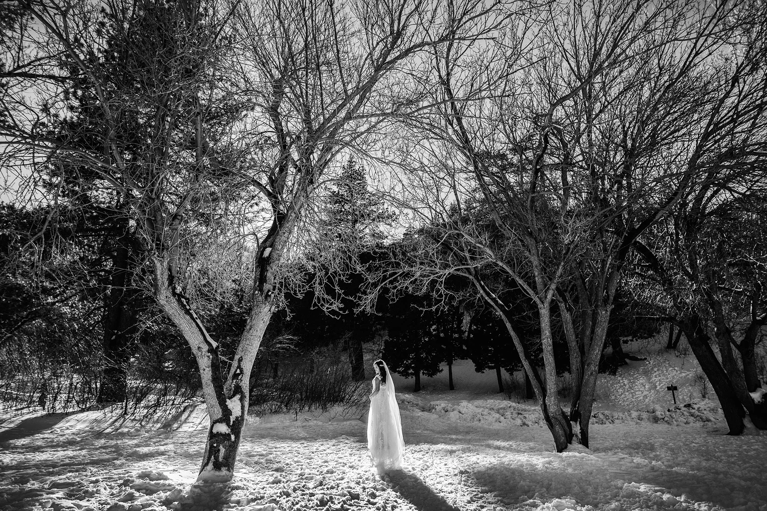 winter engagement photo at mountain high