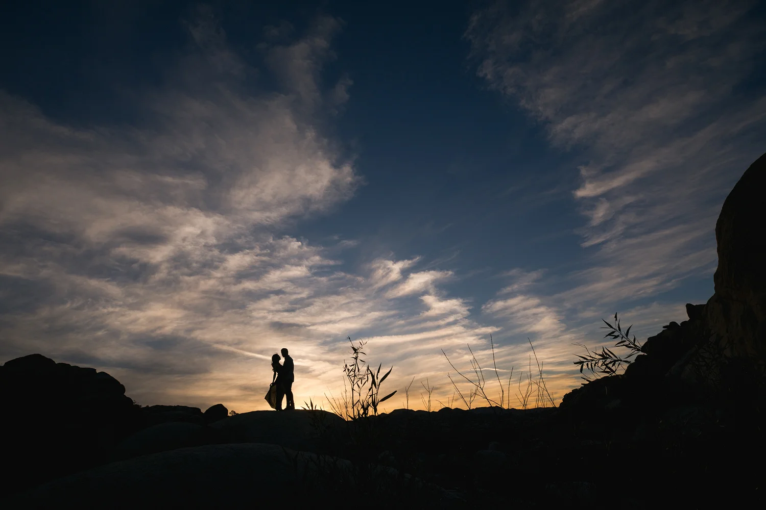 Joshua Tree Engagement Photo