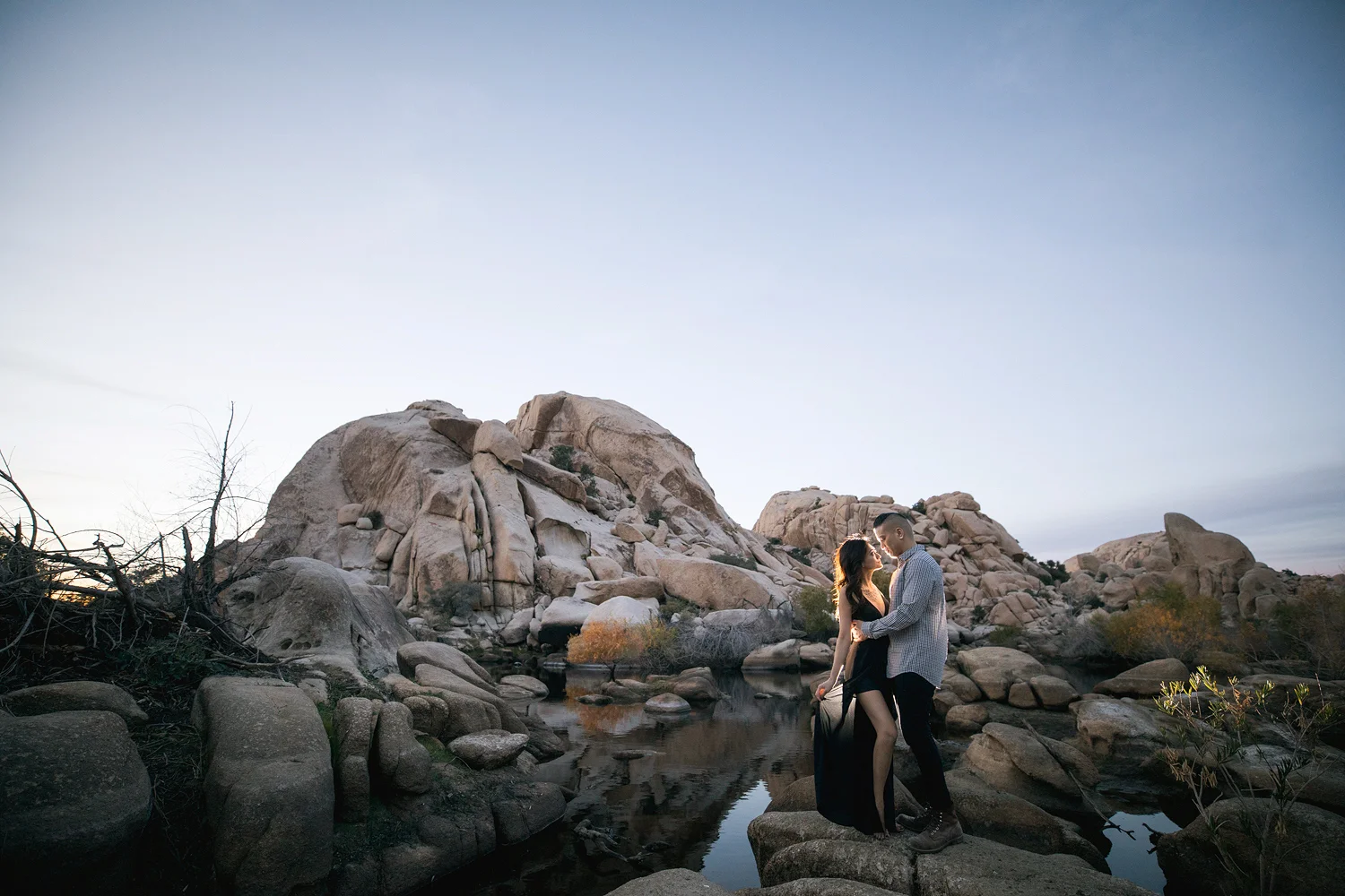 Joshua Tree Engagement Photo