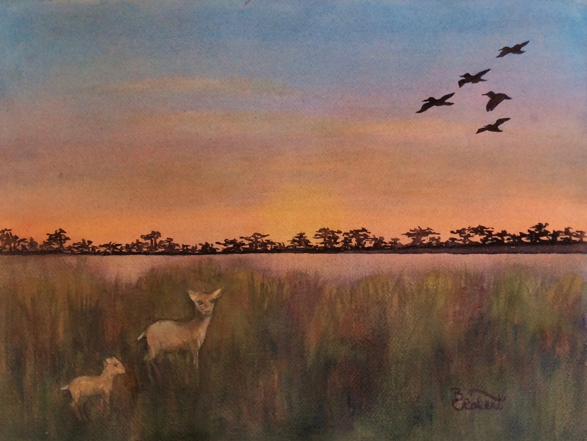 GOLDEN MARSH VISITORS, 