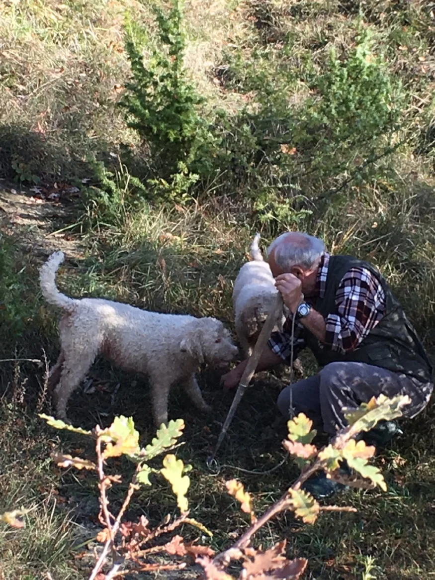 dog and farmer.jpg
