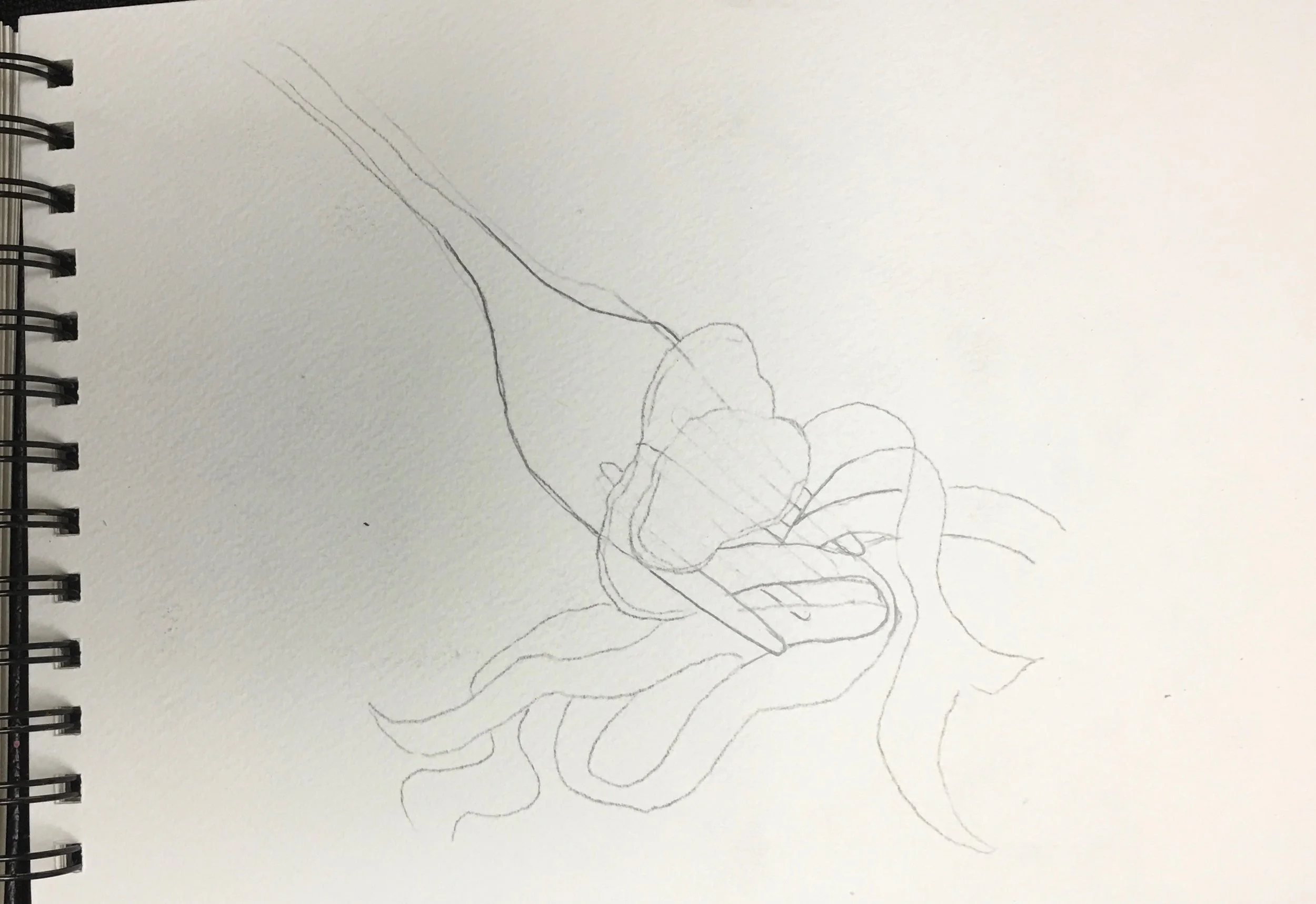 This is the preliminary sketch. After shaping the fork, I added the truffle slices and draping pasta