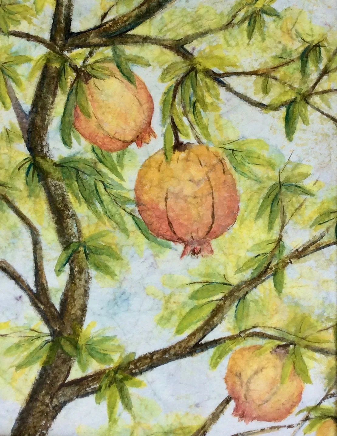 C52 Pomegranate Tree II.jpg