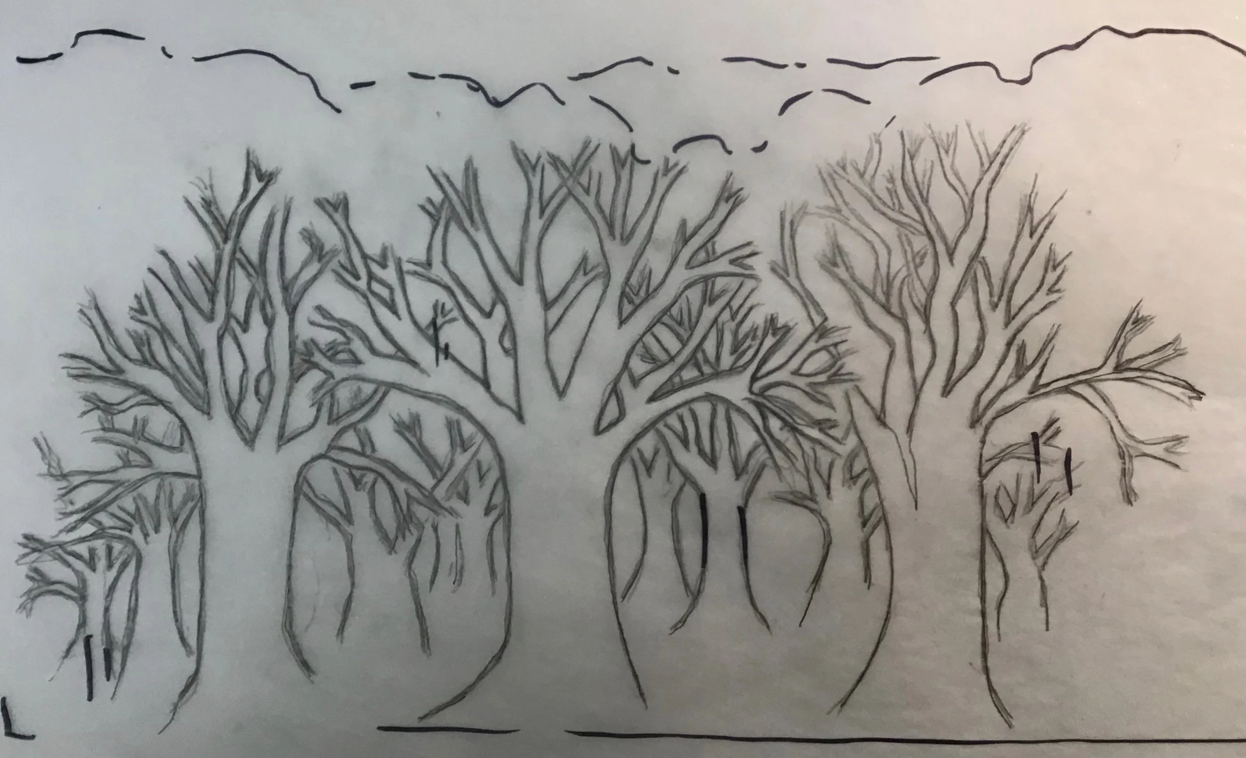 drawing.jpeg
