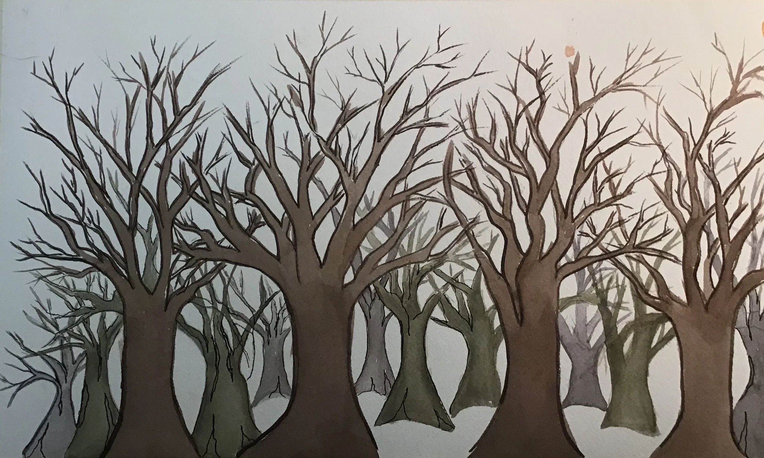 Inital Trees.jpeg