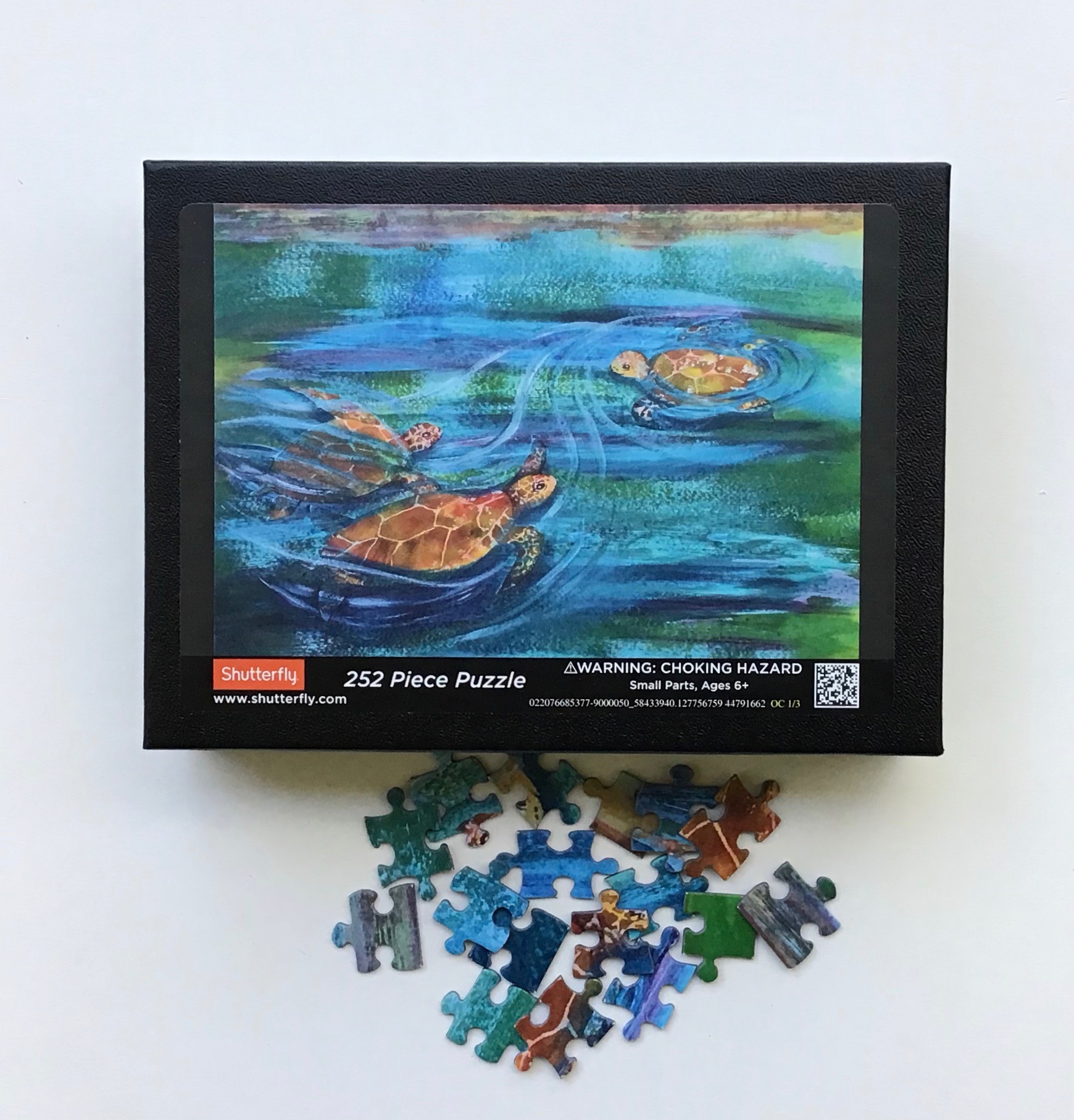 br_turtleballet_puzzle.jpeg