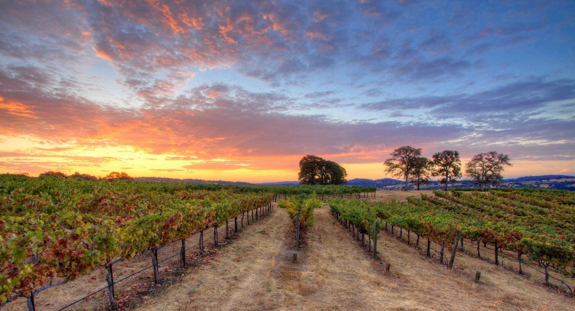 Day Tripping in Santa Ynez Valley — Dining & Destinations