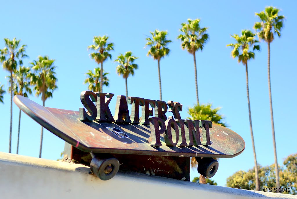 Skater's Point Skatepark