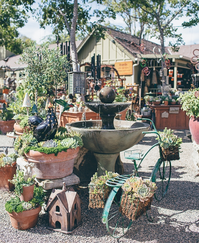 The meandering gardens that comprise the outdoor space of J. Woeste.