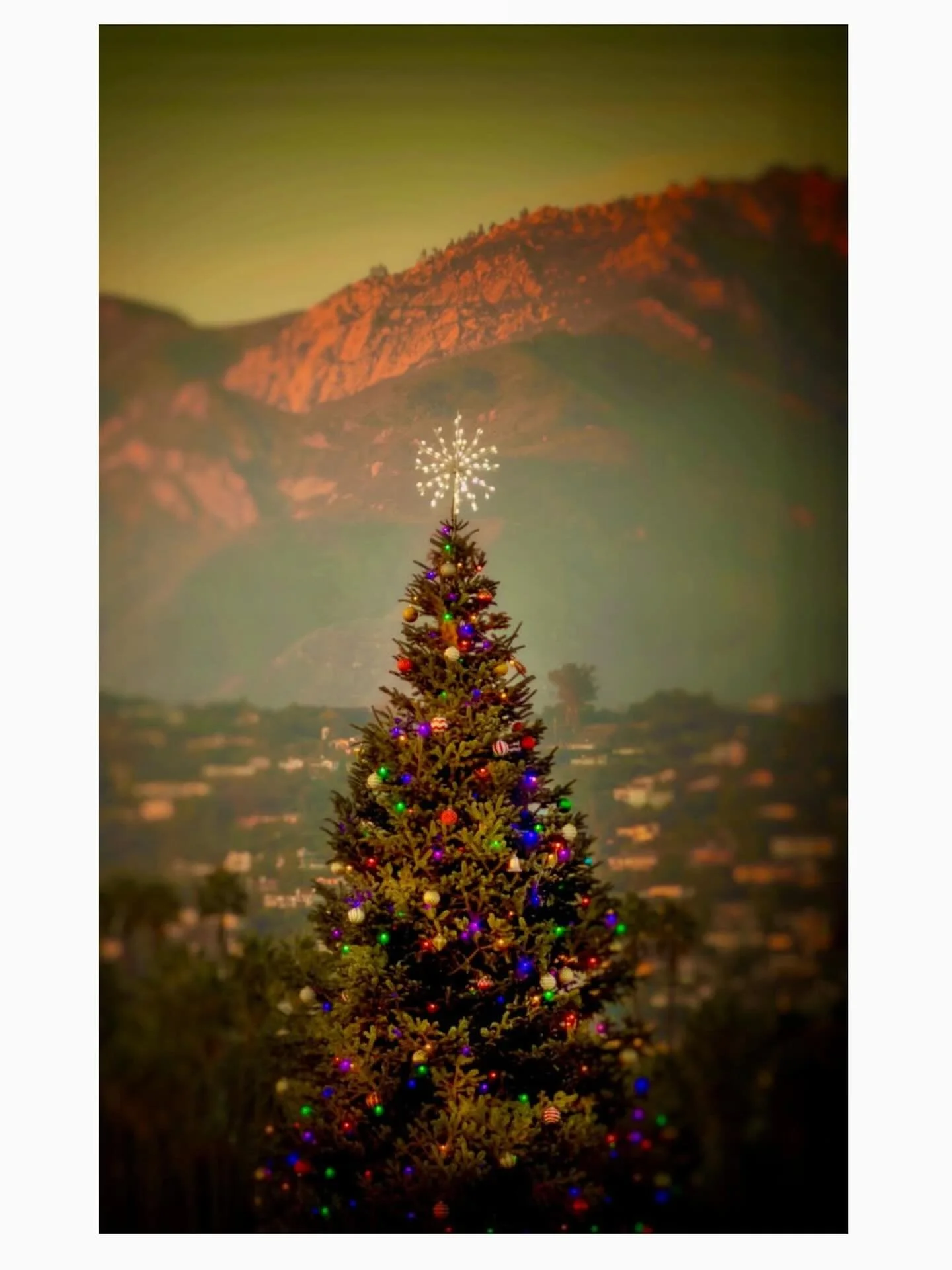 Wishing everyone near and far a very Merry Christmas from Santa Barbara. 🌟
PC: @eliasonphotos 

#eliasonphotos #santabarbara #stearnswharf #santabarbaracounty#visitsantabarbara #sbdininganddestinations 
#christmascheer #eliasonphotos #santabarbara #