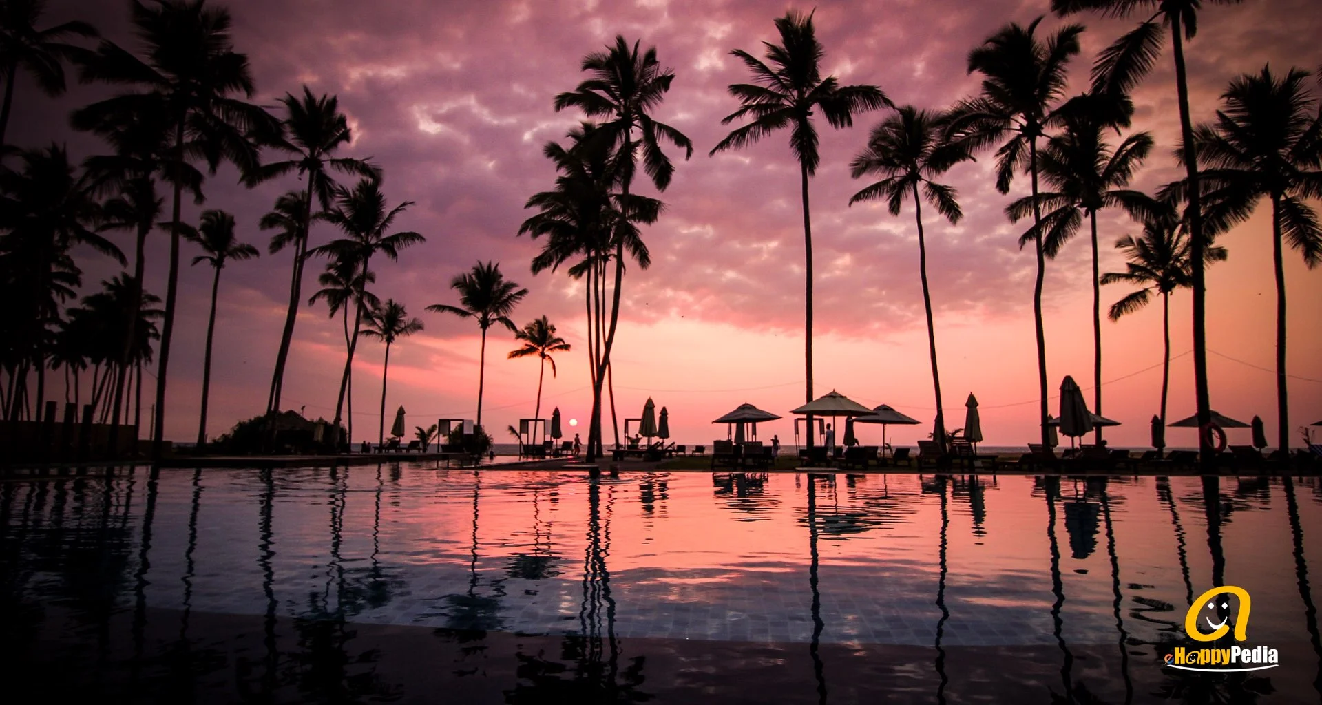blog - sunset pool beach palm tree.jpeg