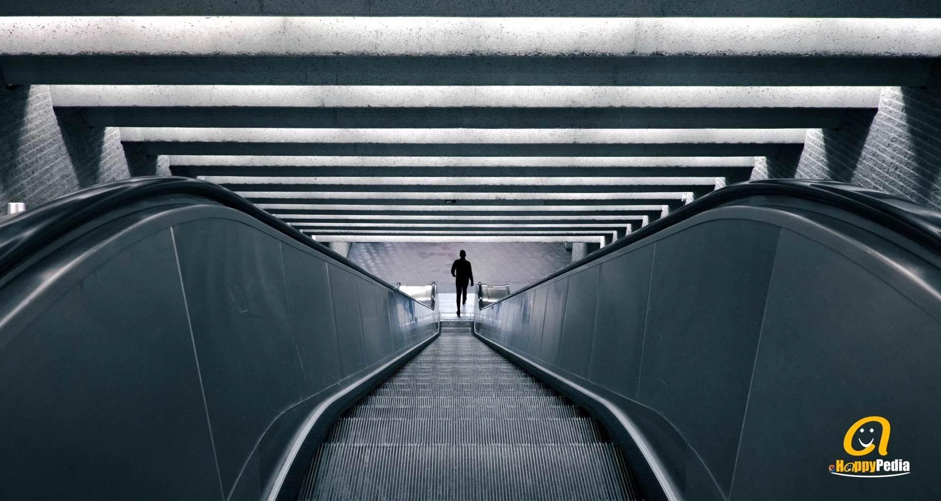 blog - man woman escalator concept blue.jpeg