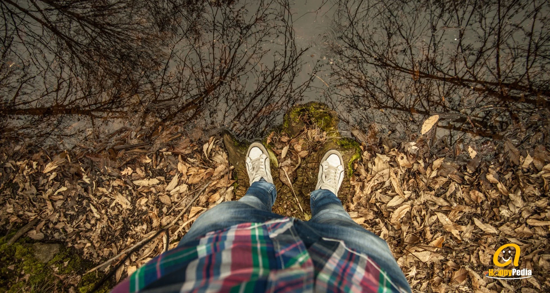 blog - feed man woman forest autumn.jpeg