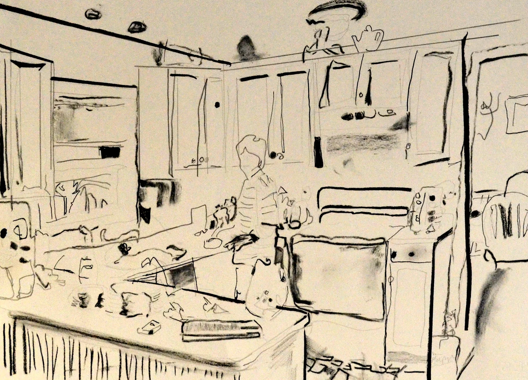 360 Cambridge Drive: Mom in the Kitchen. Graphite, charcoal, and ink on paper. 2017.