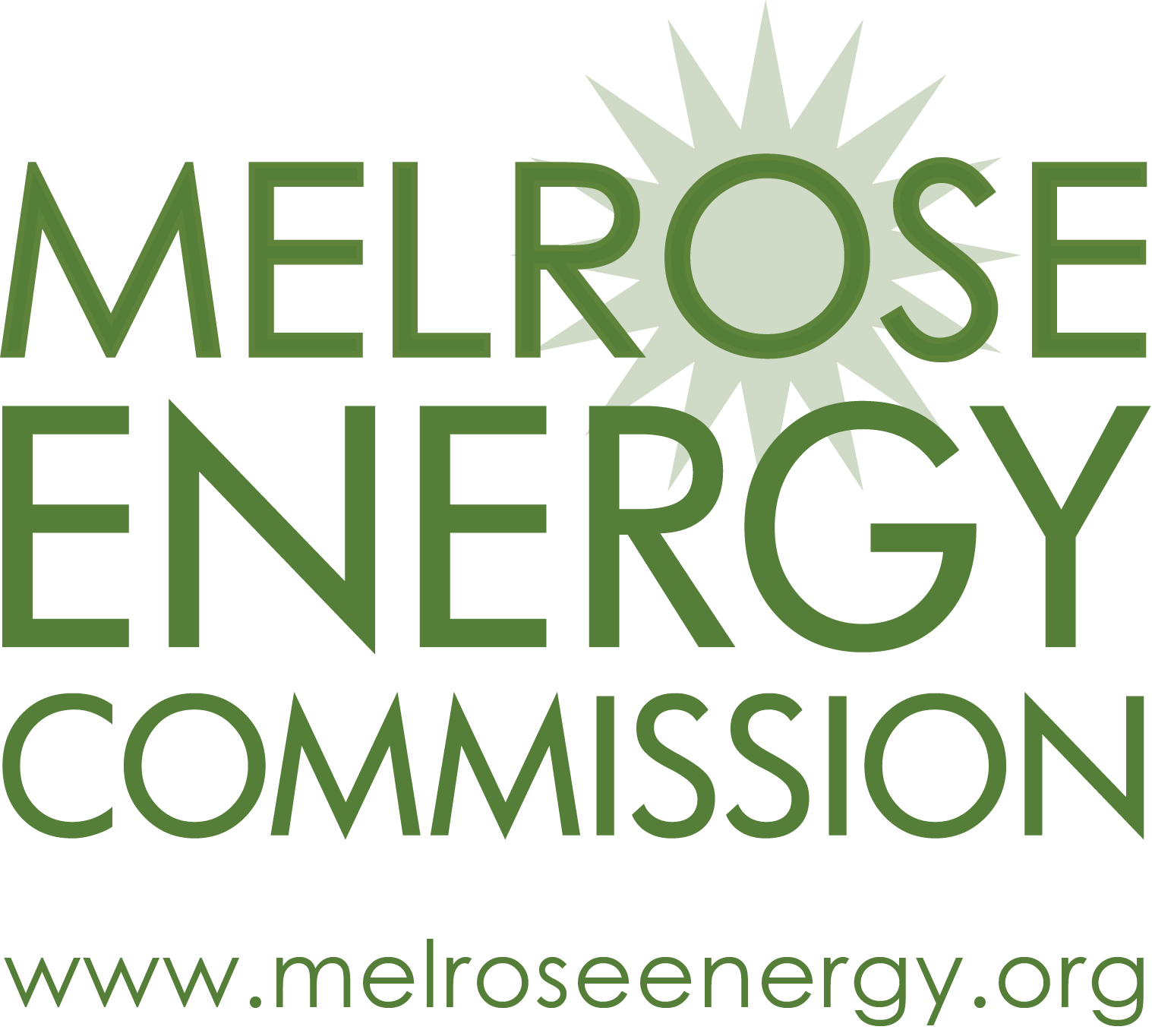 MEC Logo with web.png