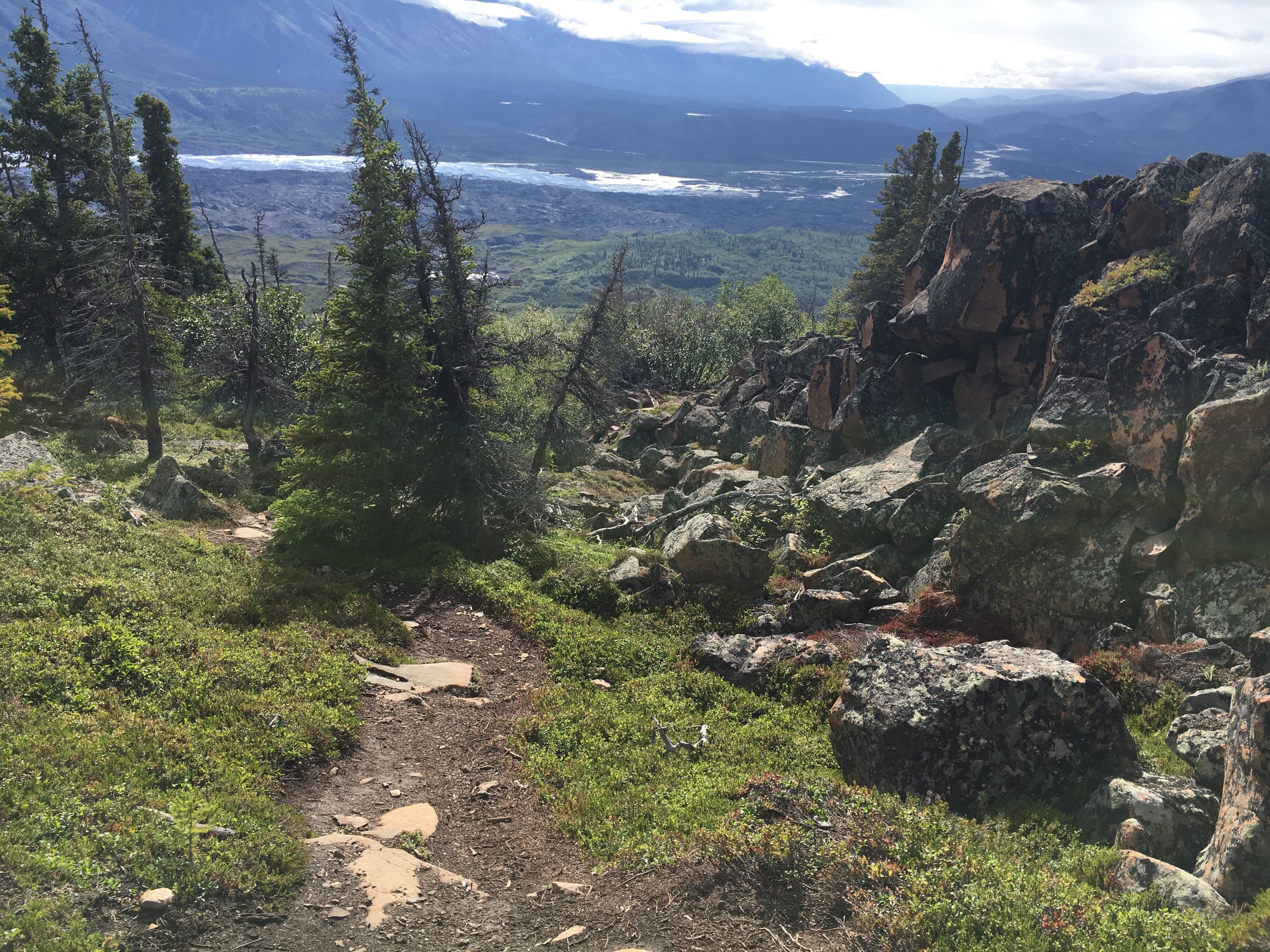Top of the lions head trail