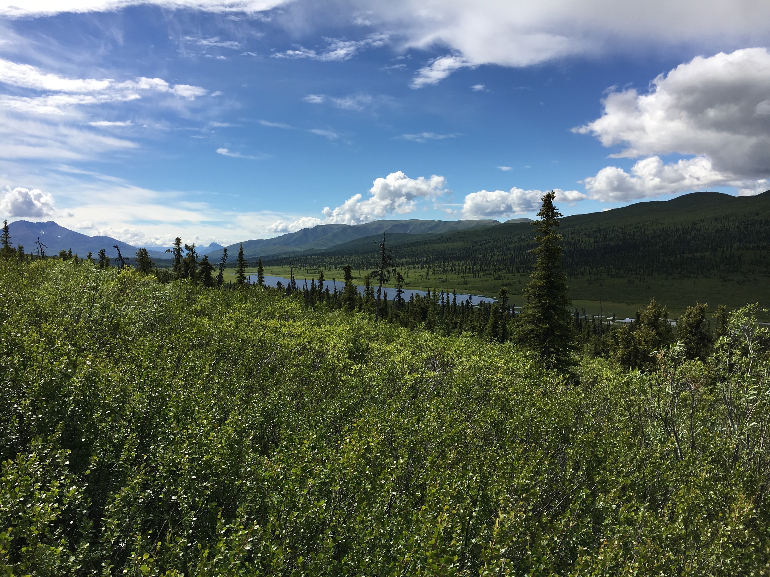 Wandering around 4 wheeler trails and finding lakes