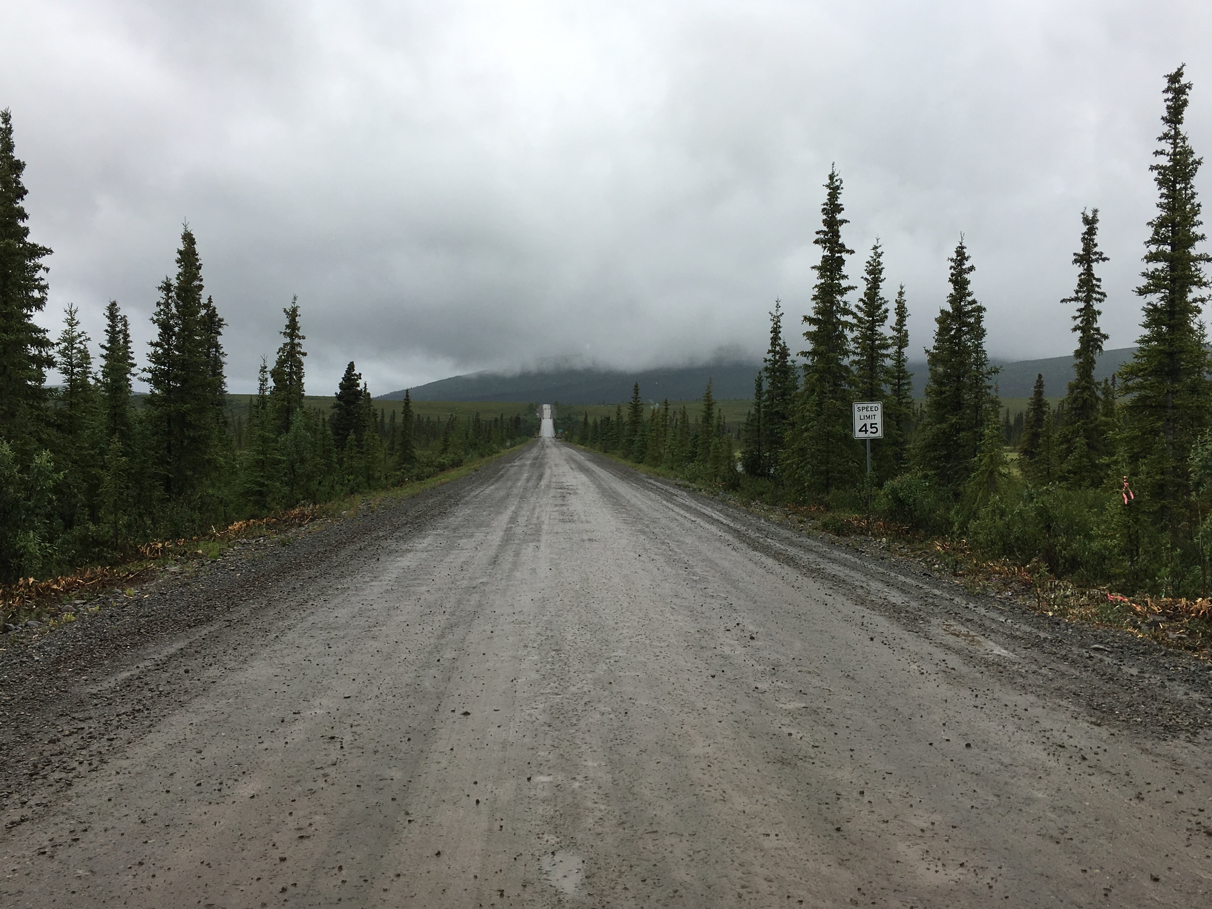 The Denali Highway... it goes on and on. 
