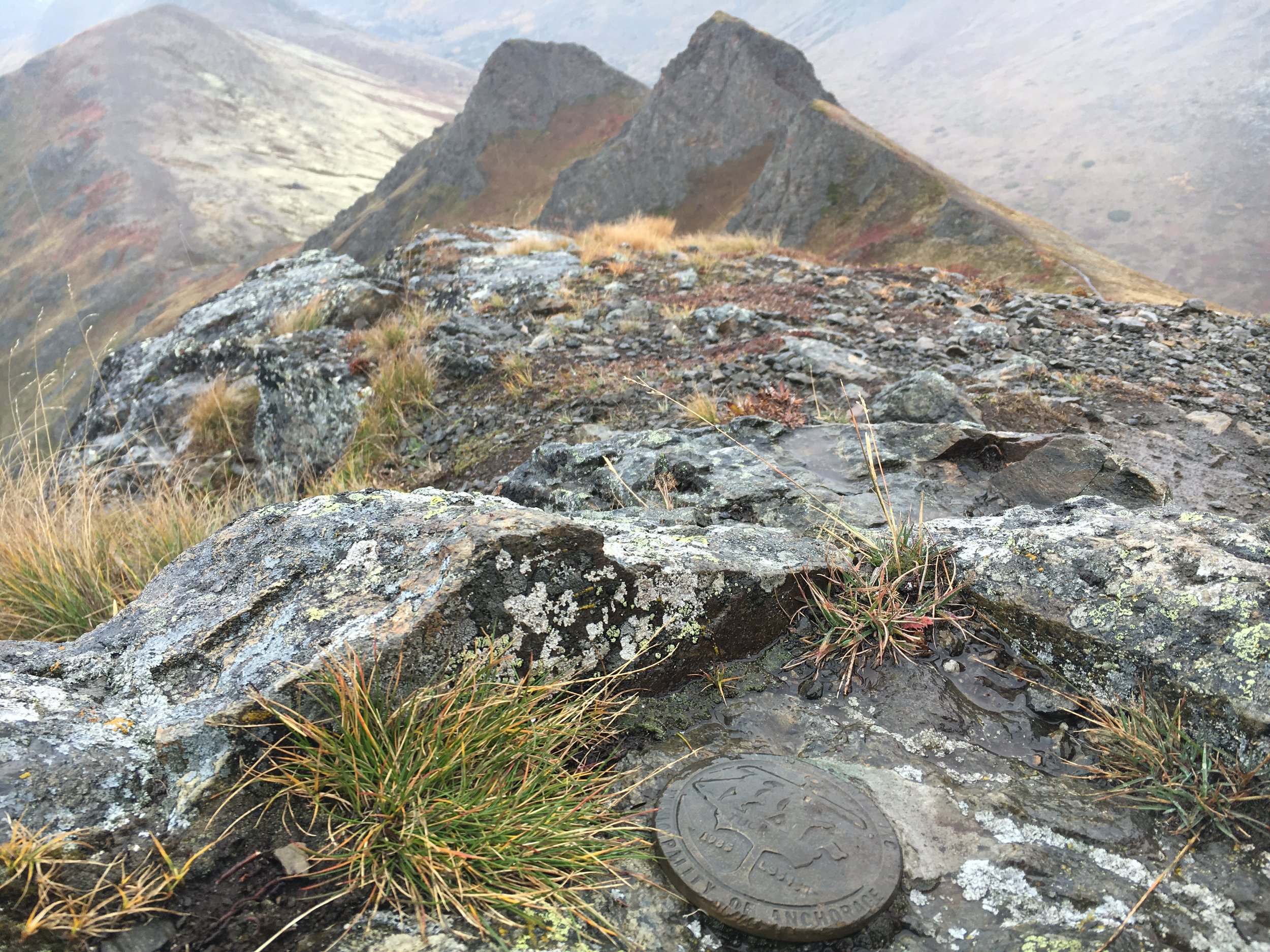 Survey marker on Mt. Tucker looking back toward the saddle