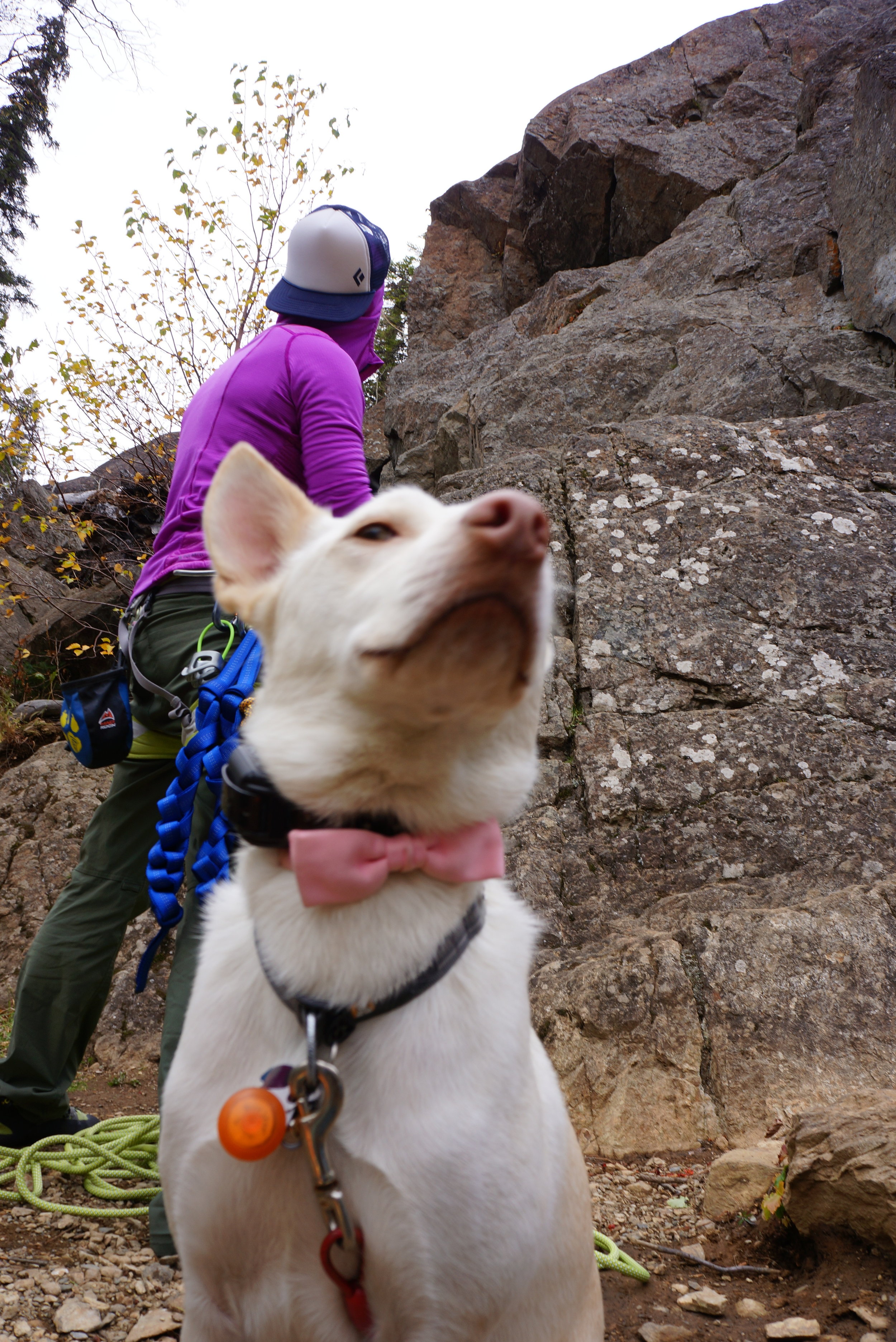 Pulling rope while Shiro shows off his bow tie. 