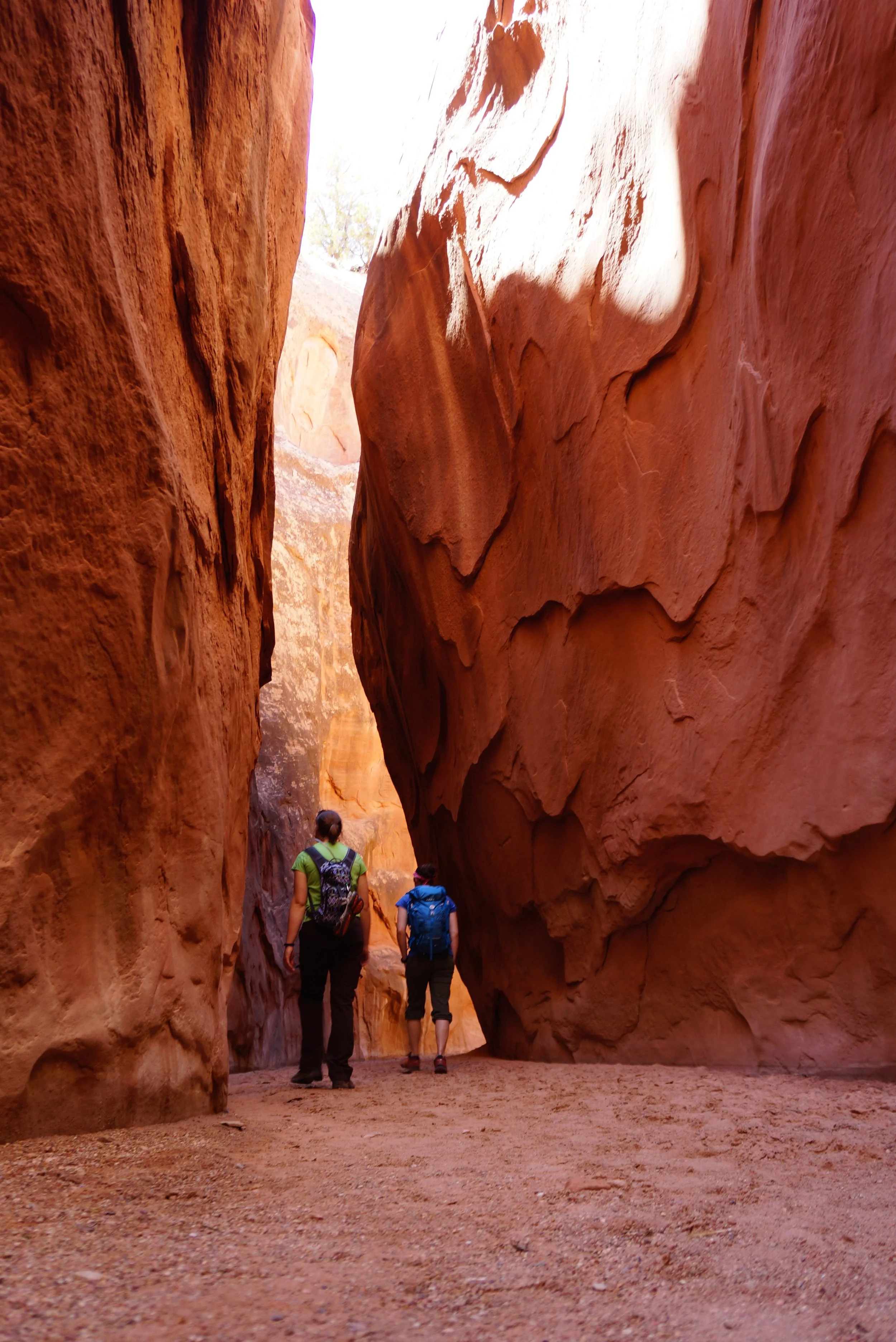 tHE WIDE WALLS OF MAIN FORK NARROWS