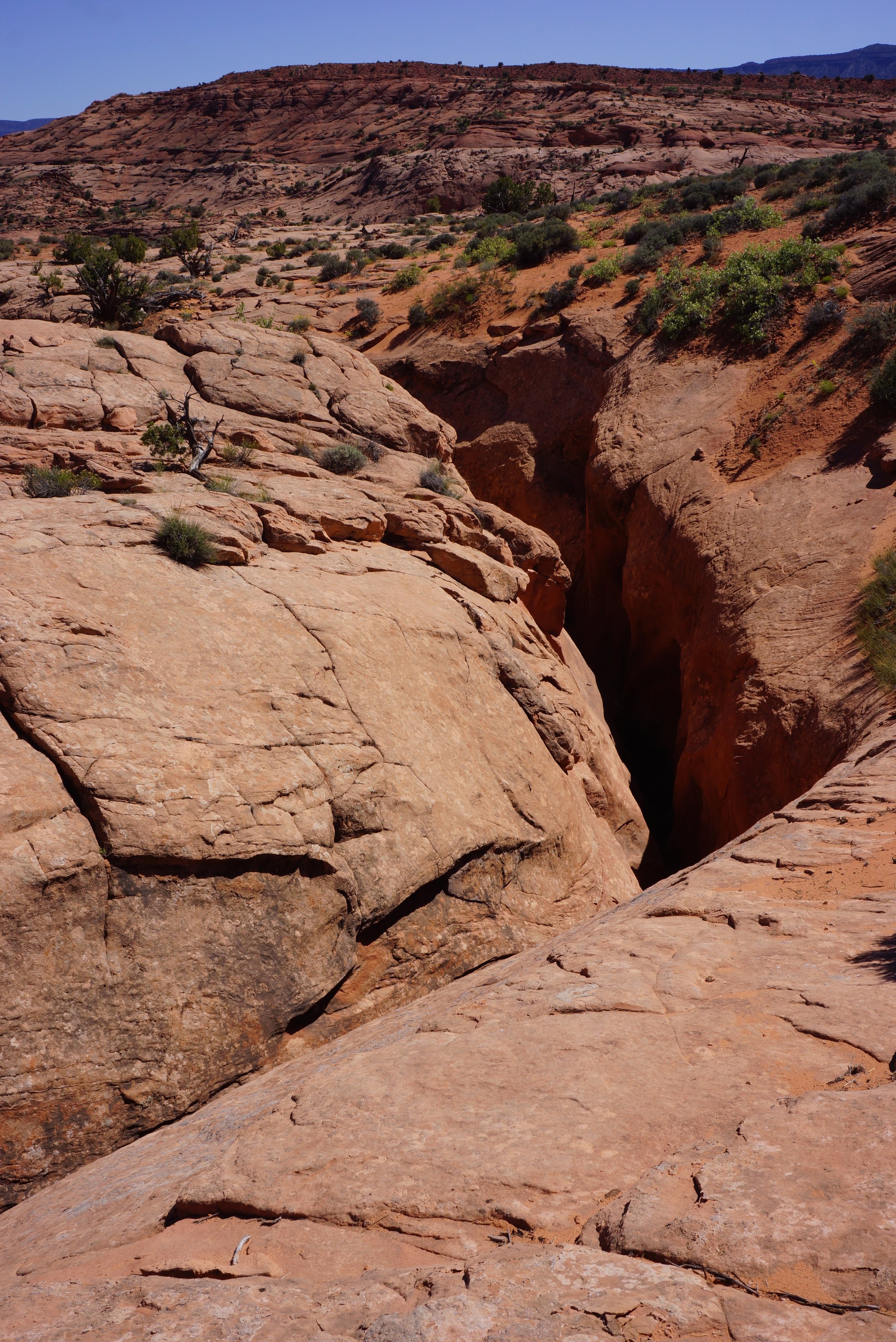 Canyons Canyons